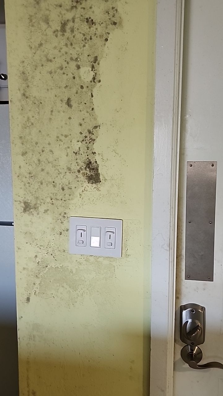 Damage caused from leaking water hea  er by Building performance Solutions LLC