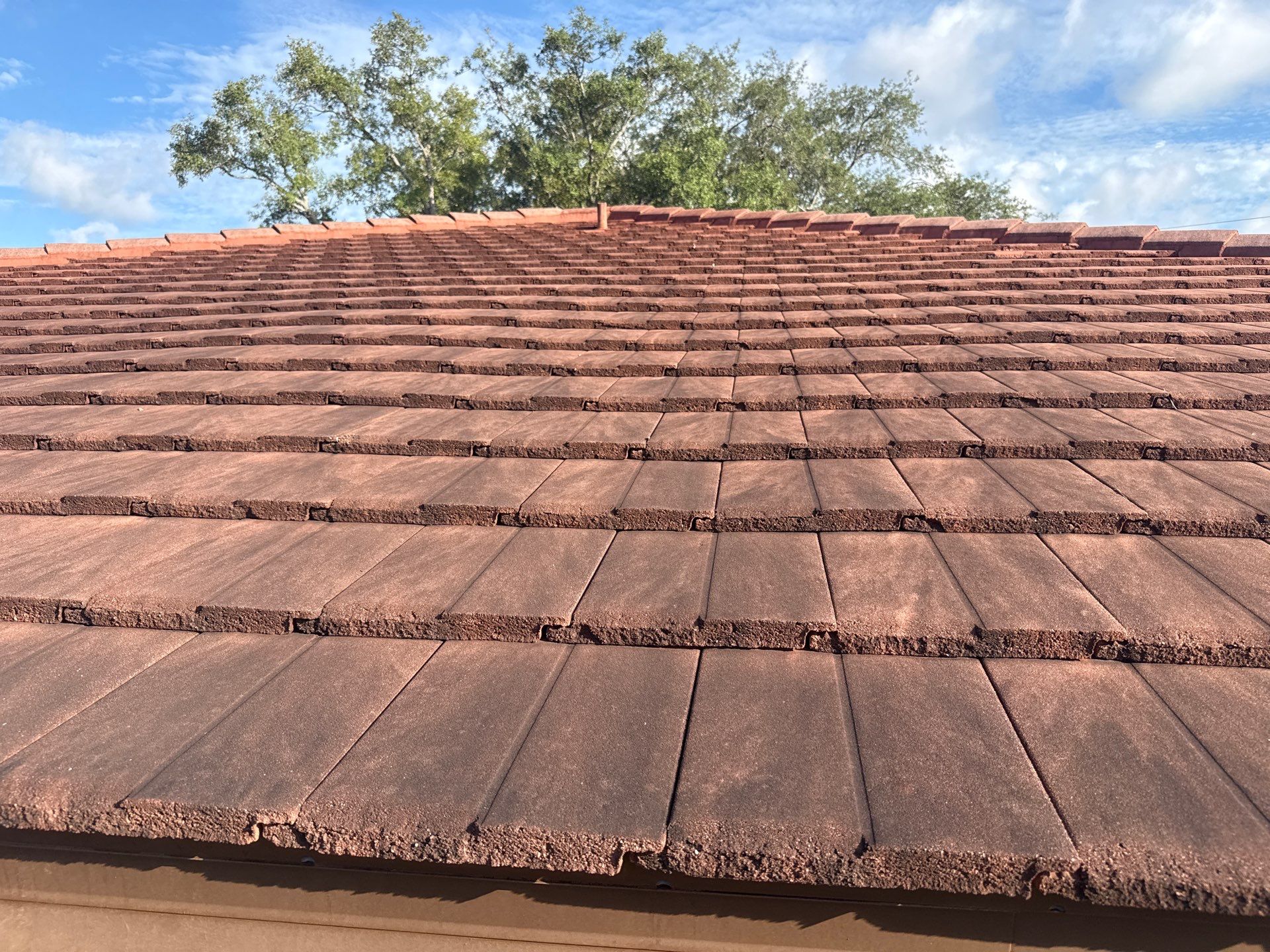 Tile Roof, Driveway & Patio Cleaning – Vivienda at Bradenton I by Sunshine AquaWash