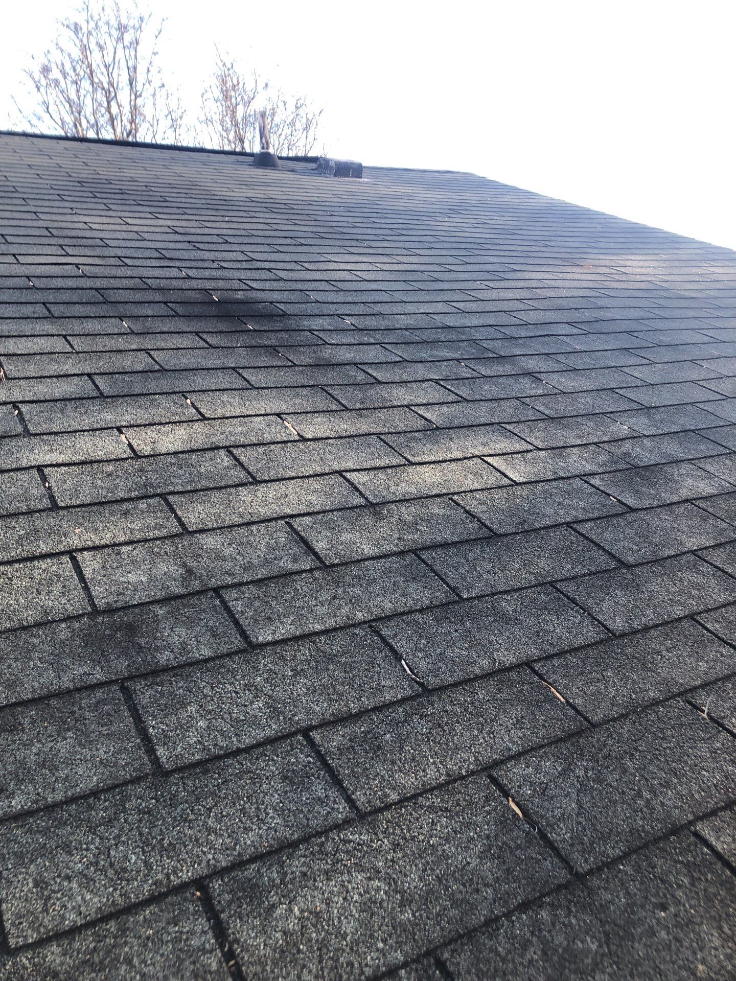 Alexandria CertainTeed Landmark Pro Roof in Max Def Pewterwood  by RM Banning, Inc.