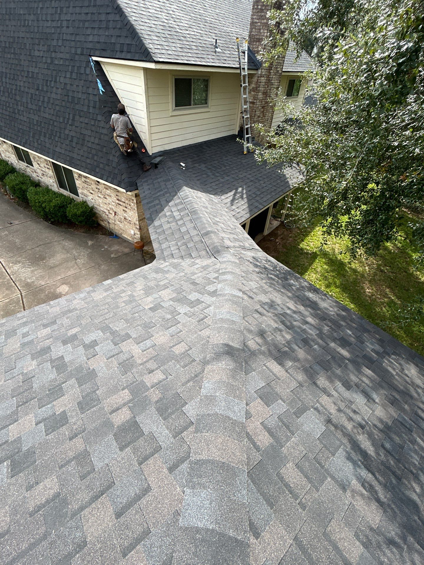 THEO E. by Boss Hogg Roofing