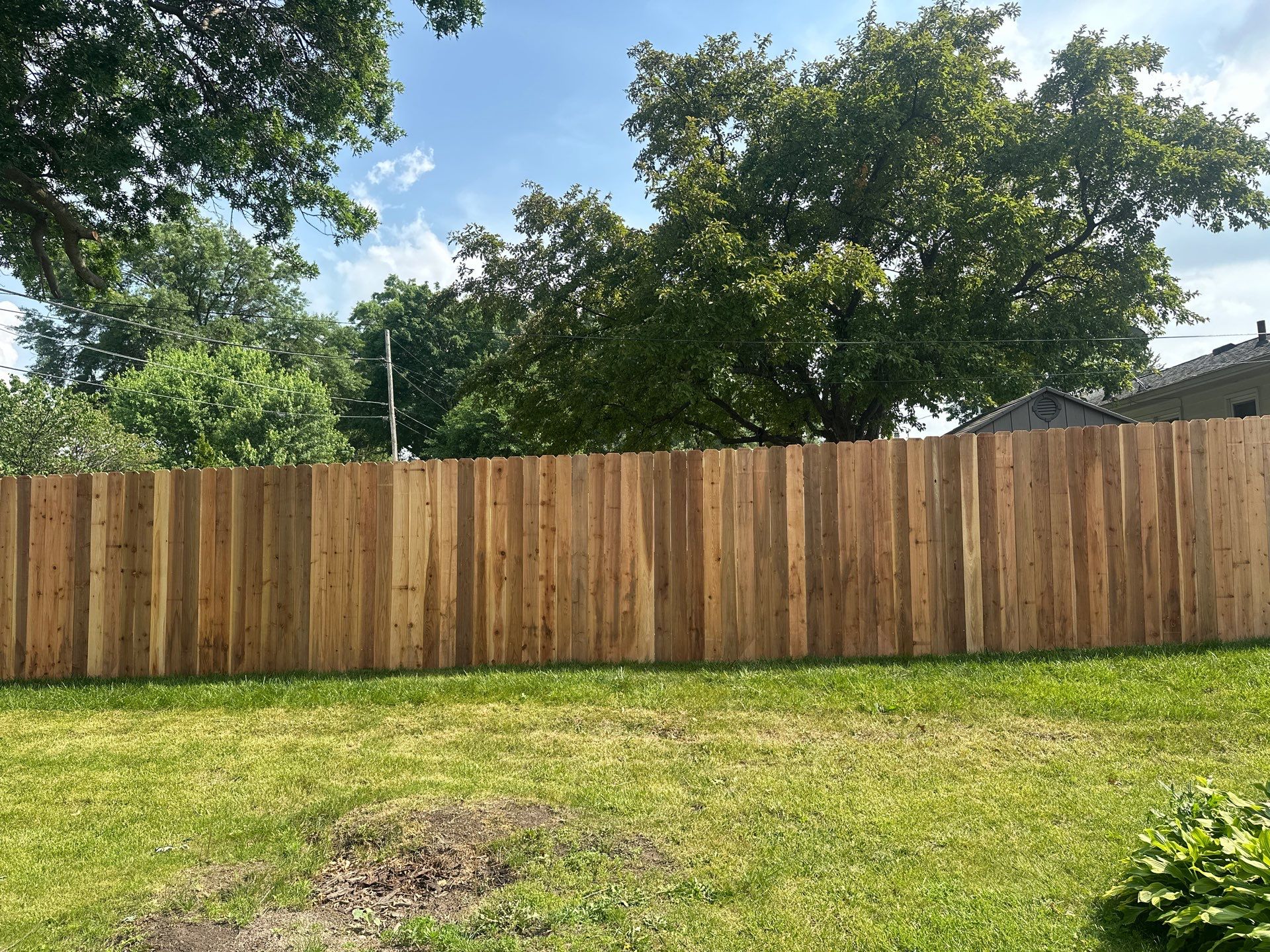 Project in Waterloo by Perfect Picket Fence and Stain