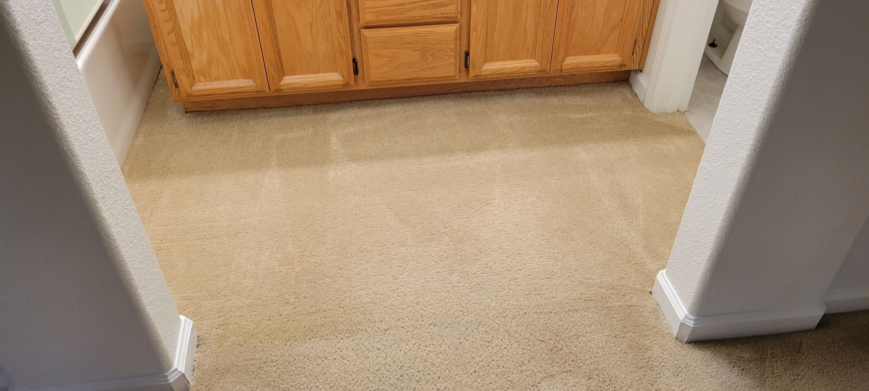 Sectioning Out a Failed Dye Attempt by Ardent Carpet Restore LLC