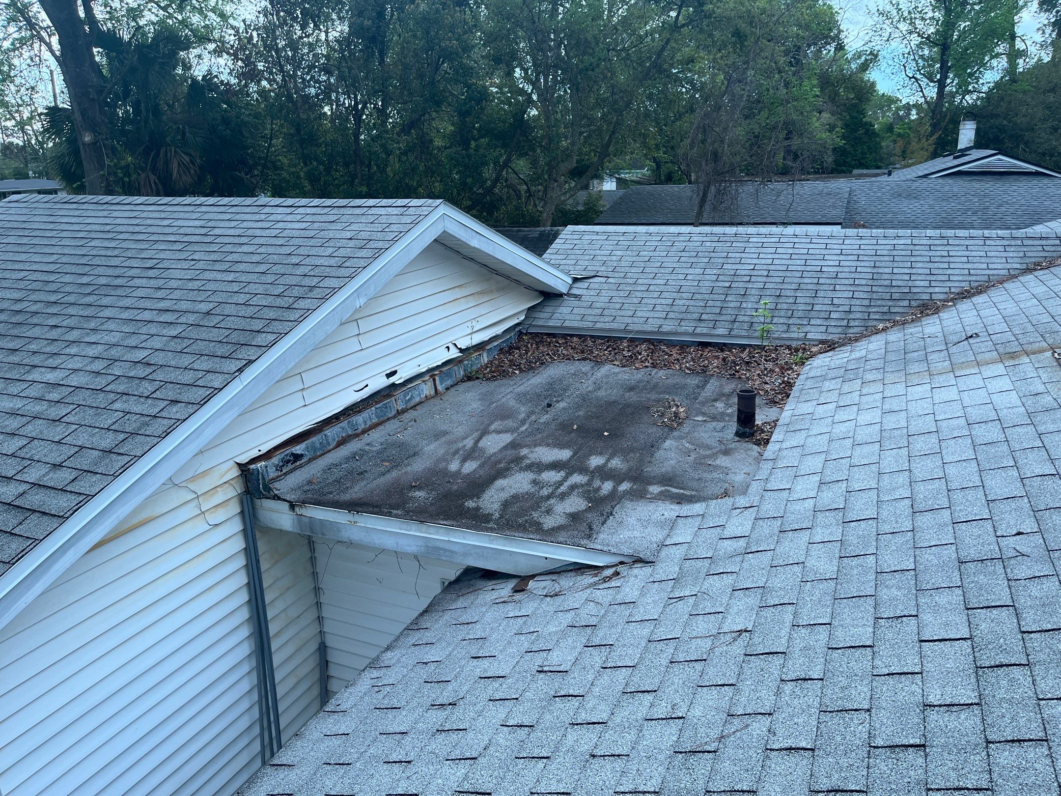 Shingle -> Shingle by Prime Roofing