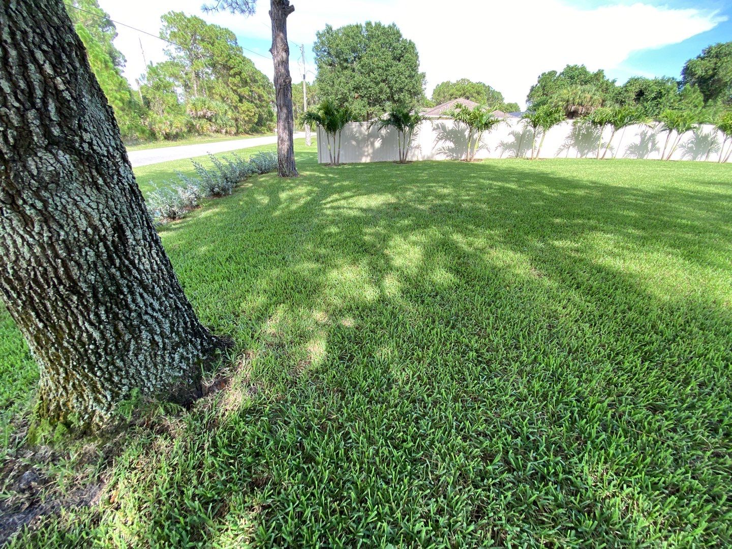 North Port, FL Tan Vinyl Privacy Fence  by Asap fence and gates, LLC