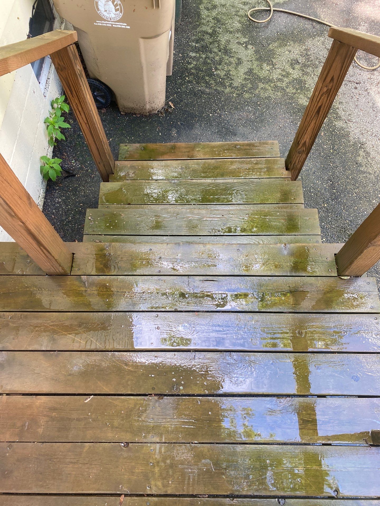 Wood and path clean by Shulla Exterior Cleaning