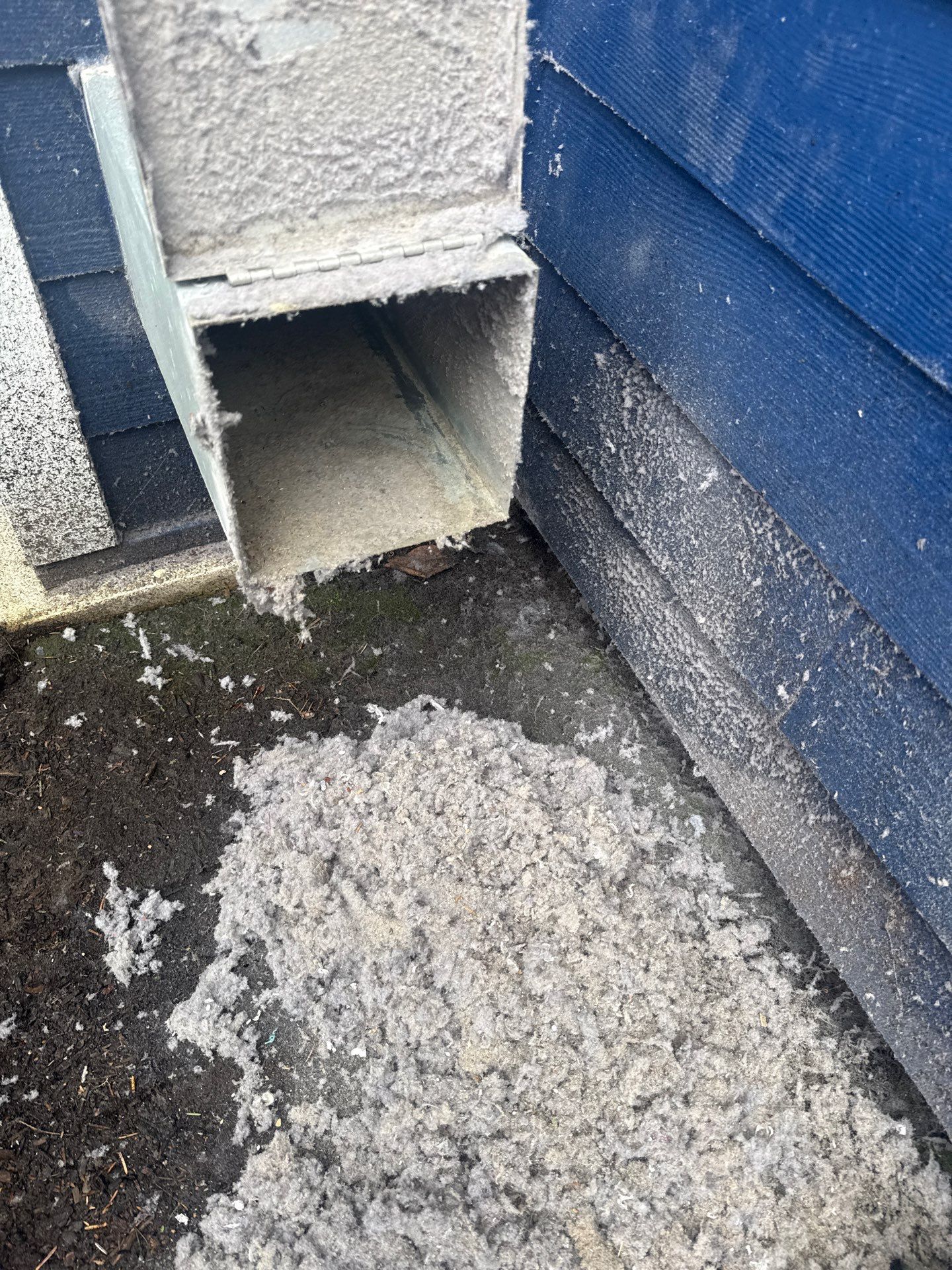 Lint Removal & Vent Cleaning - Seaside by Rolling Suds of Oregon Coast – Salem