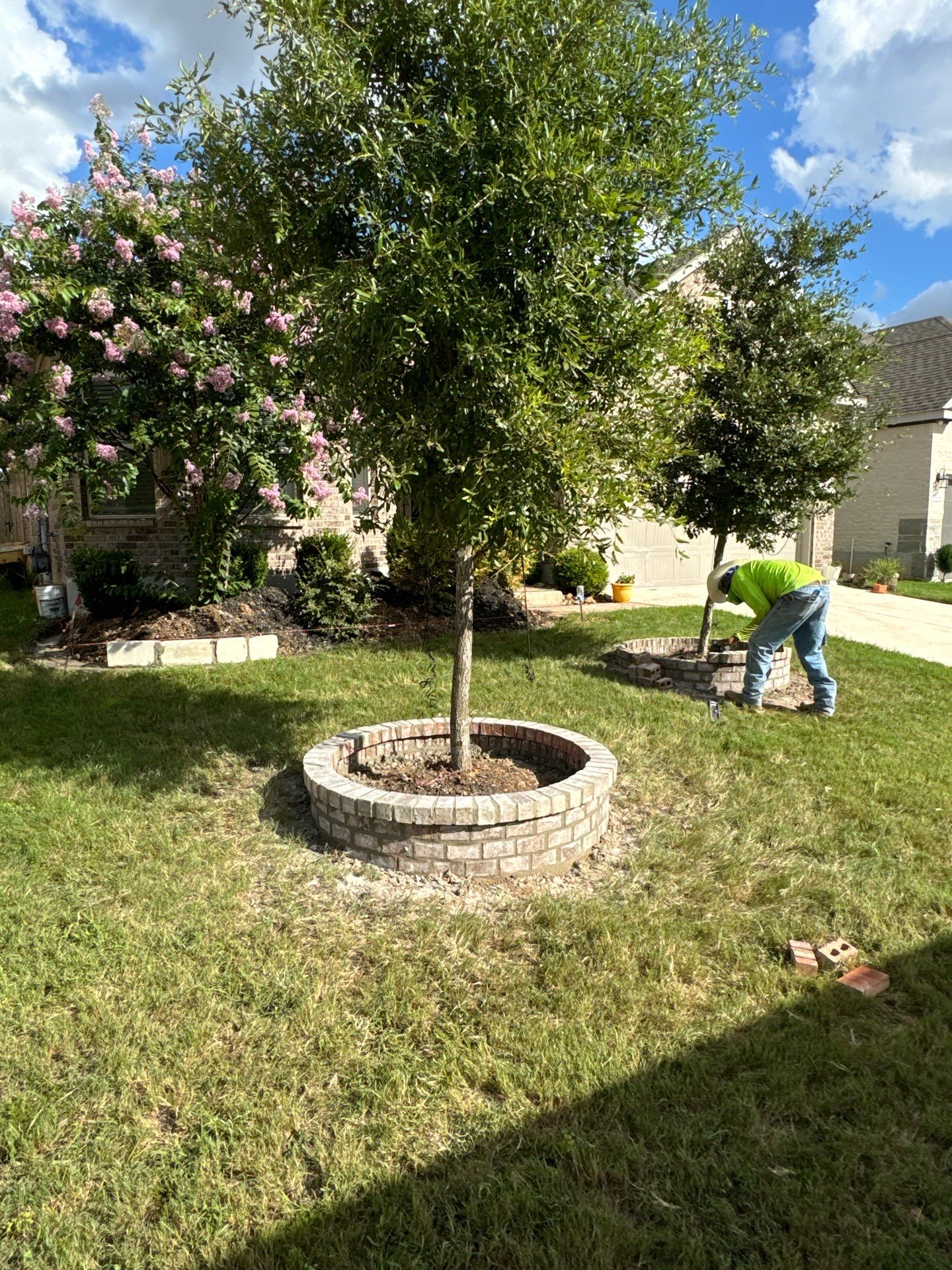 Wortham Oaks - San Antonio, TX by Hole In One Lawns, LLC
