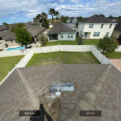 Shingle Roof Cleaning