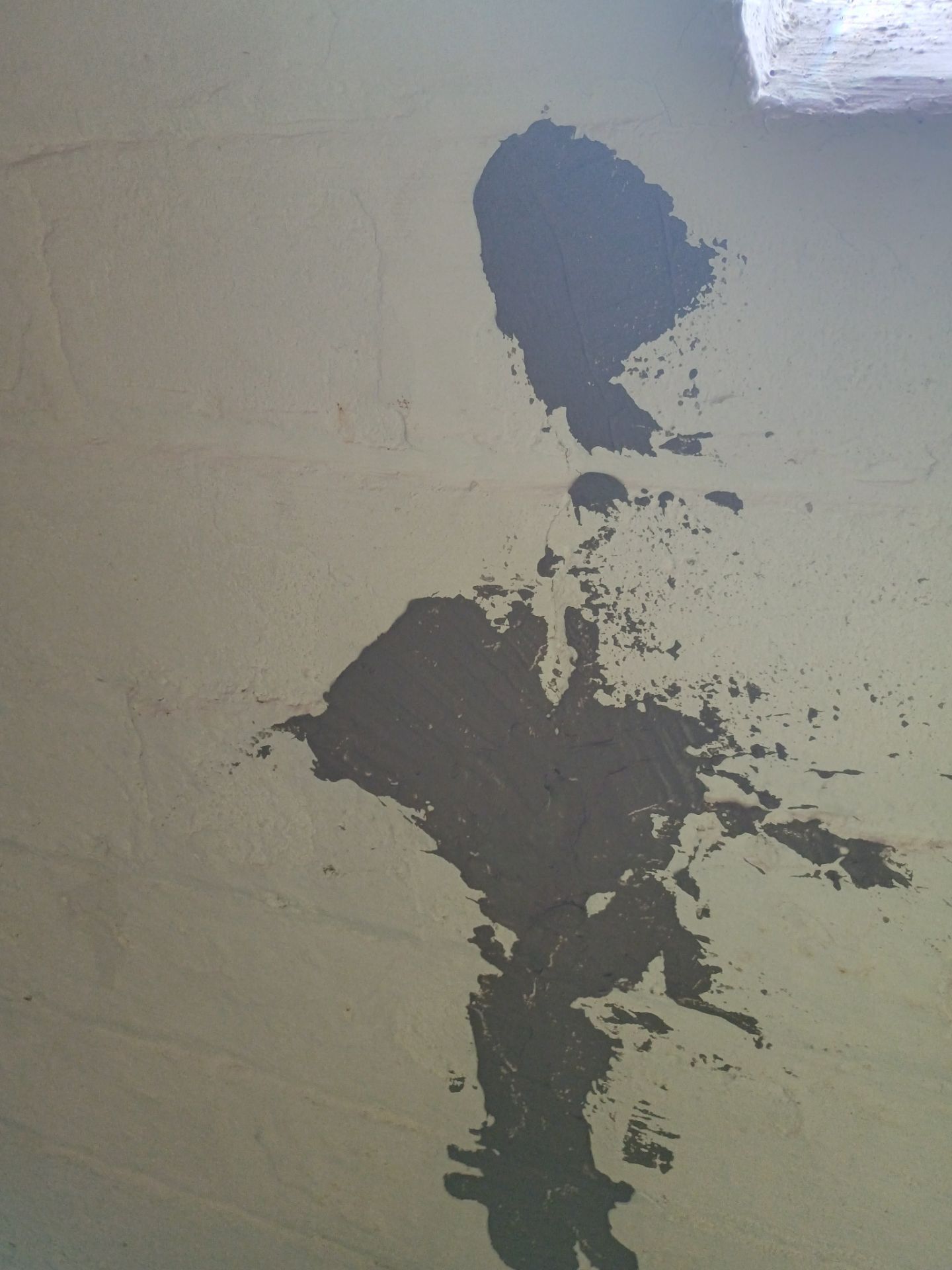 Updating Taylor's Waterproofing System by Waterproofing Northeast