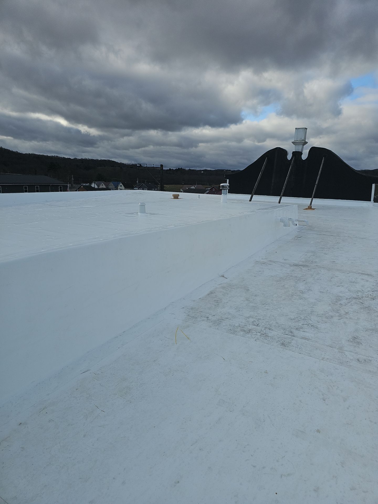 768 Roof featured photo.