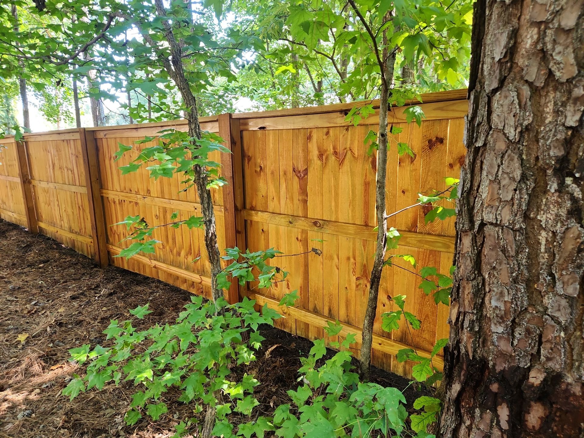 Fence using Wood Sealant by DuraSeal