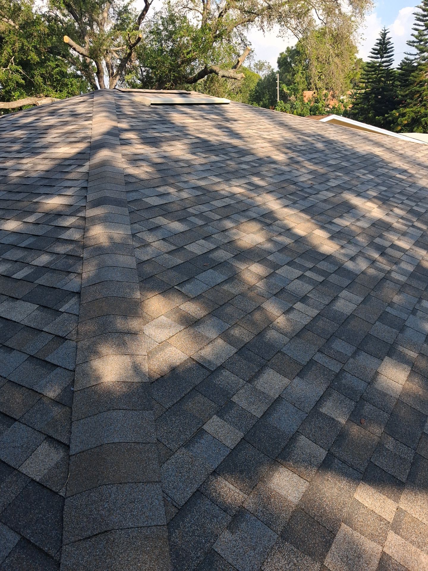 Project in Clearwater 33761 by Mitchell Roofing Company LLC