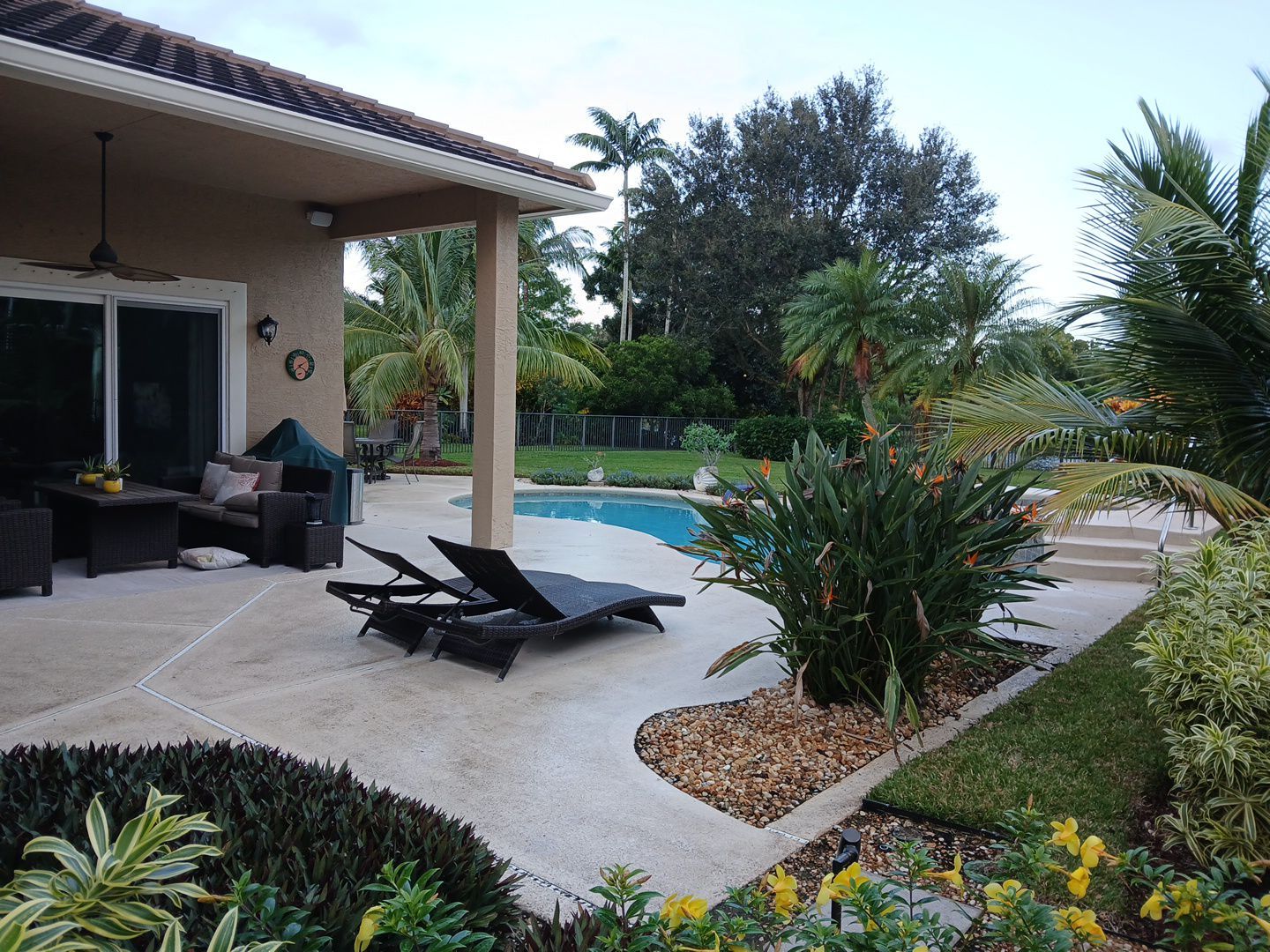 🌴✨ HAMMOCK CREEK SIGNATURE CLEANUP — THE ALPHA ZETA WAY ✨🌴 by Alpha Zeta Enterprises Inc