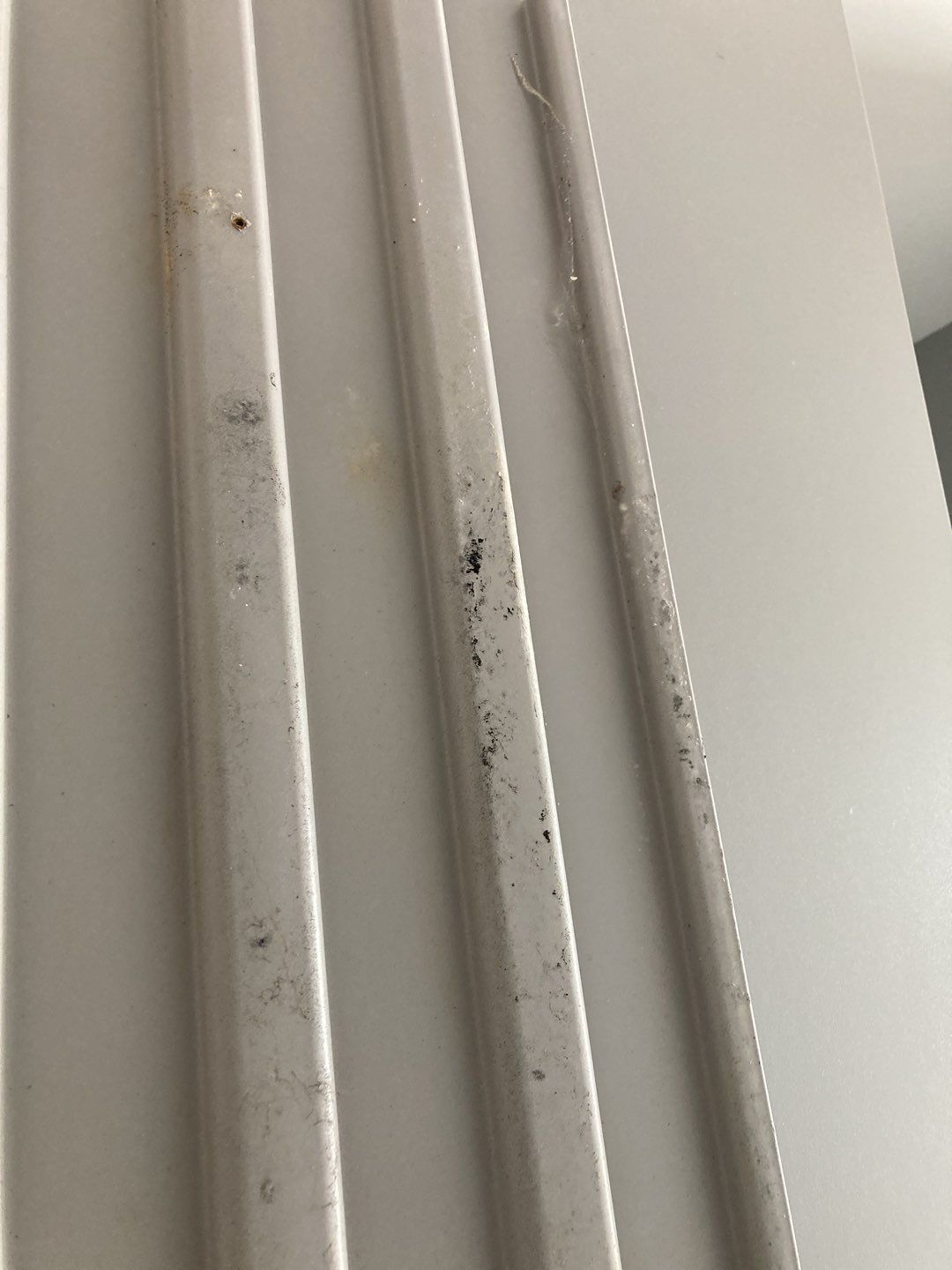 Mold Remediation using Containment by Accountable Home Services