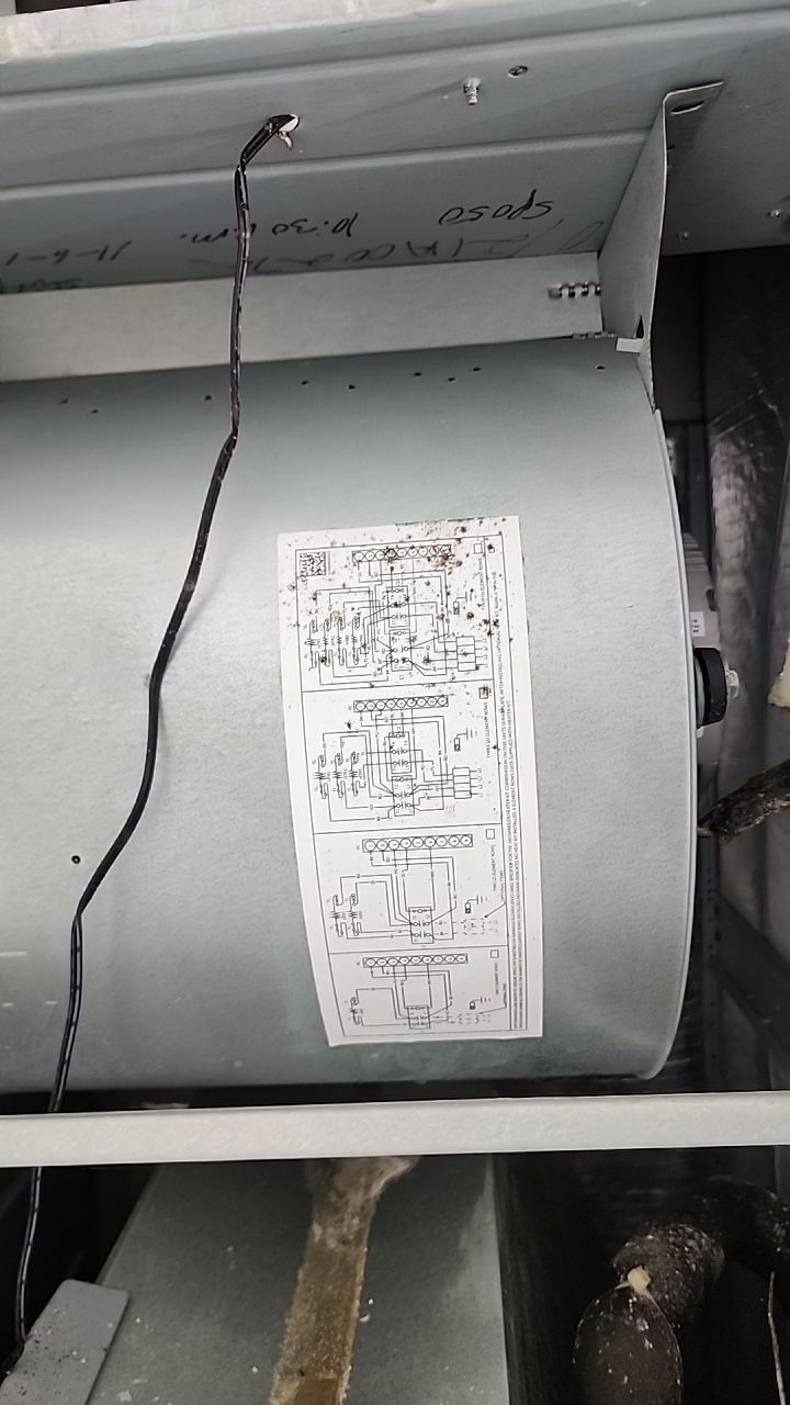 Suspect Mold growth in HVAC System by Building performance Solutions LLC