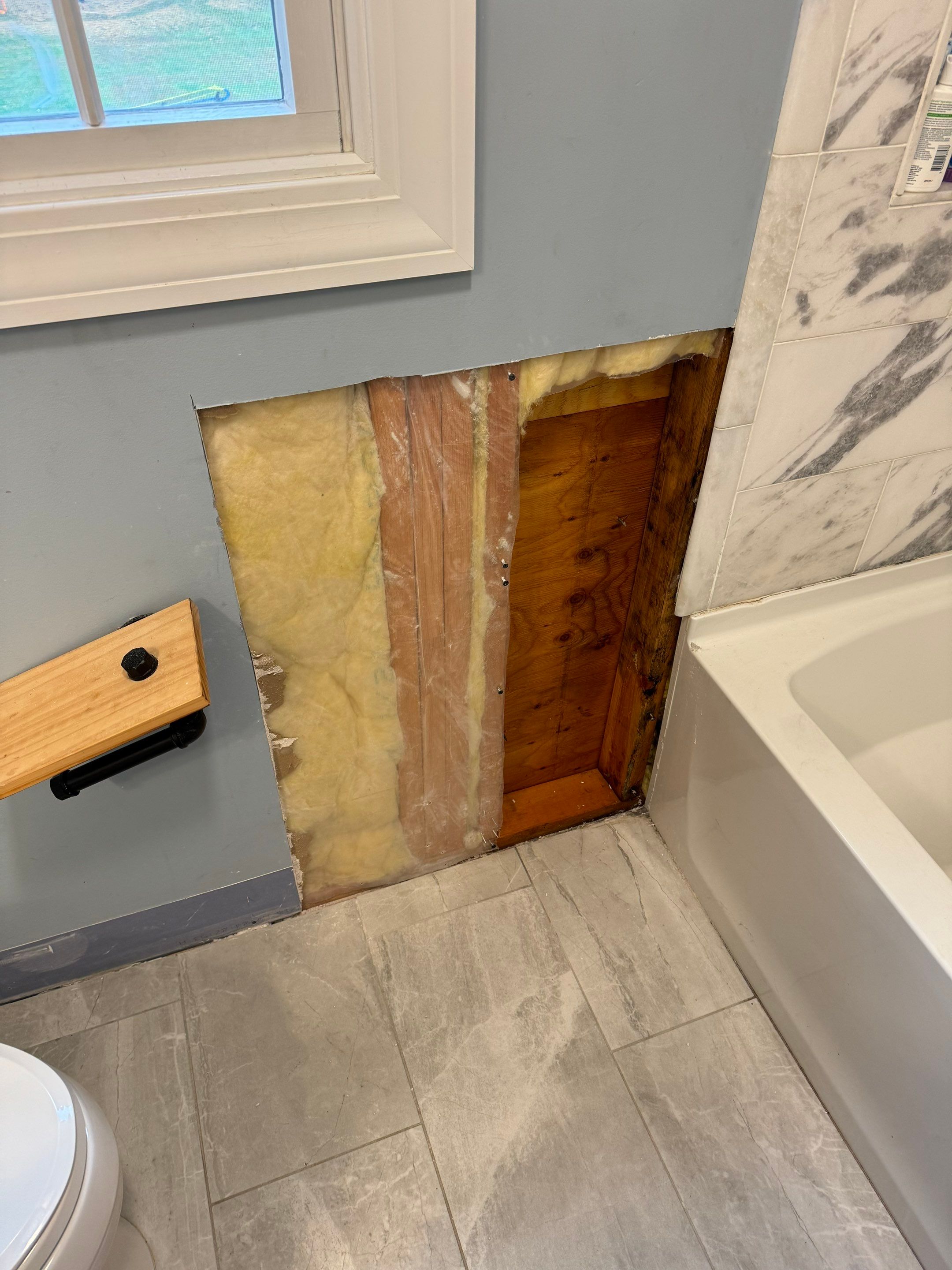 Bathroom Mold Remediation by Home Guarantee, LLC