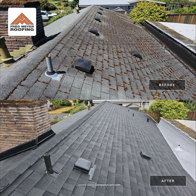 Roof Project in Bellevue