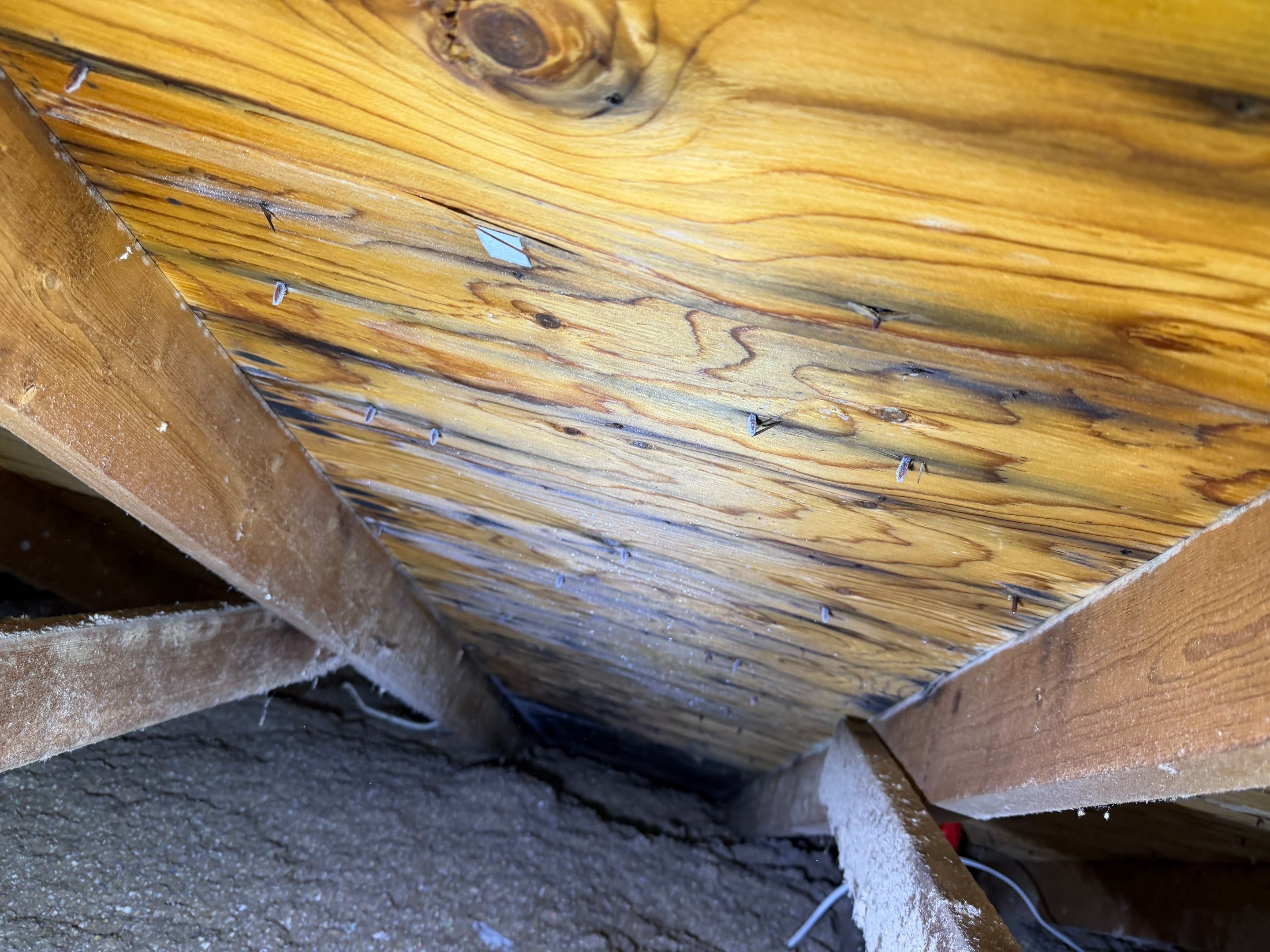 Project in Hamilton by The Roofing Crew