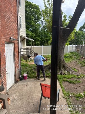 Professional Lawn Maintenance and Property Trimming in New Haven