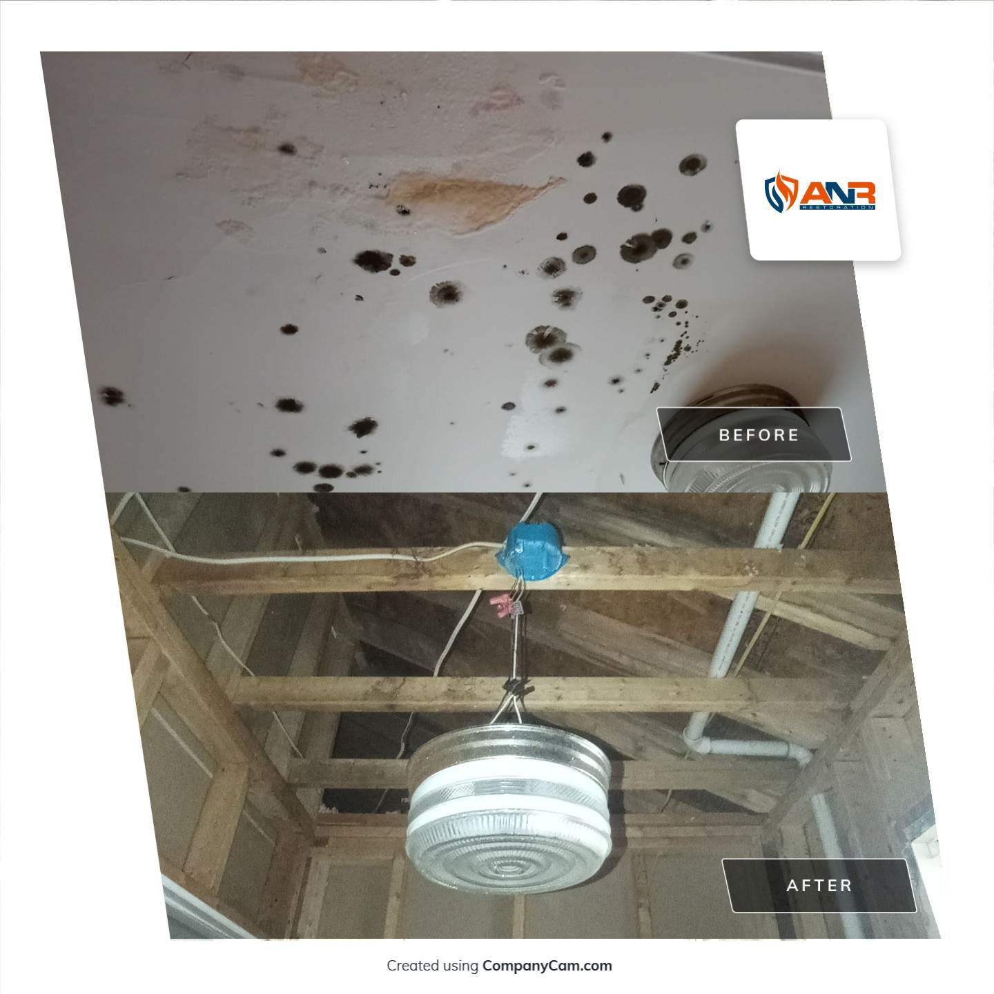 Mold Remediation in a Home in Louisville, KY by ANR Restoration
