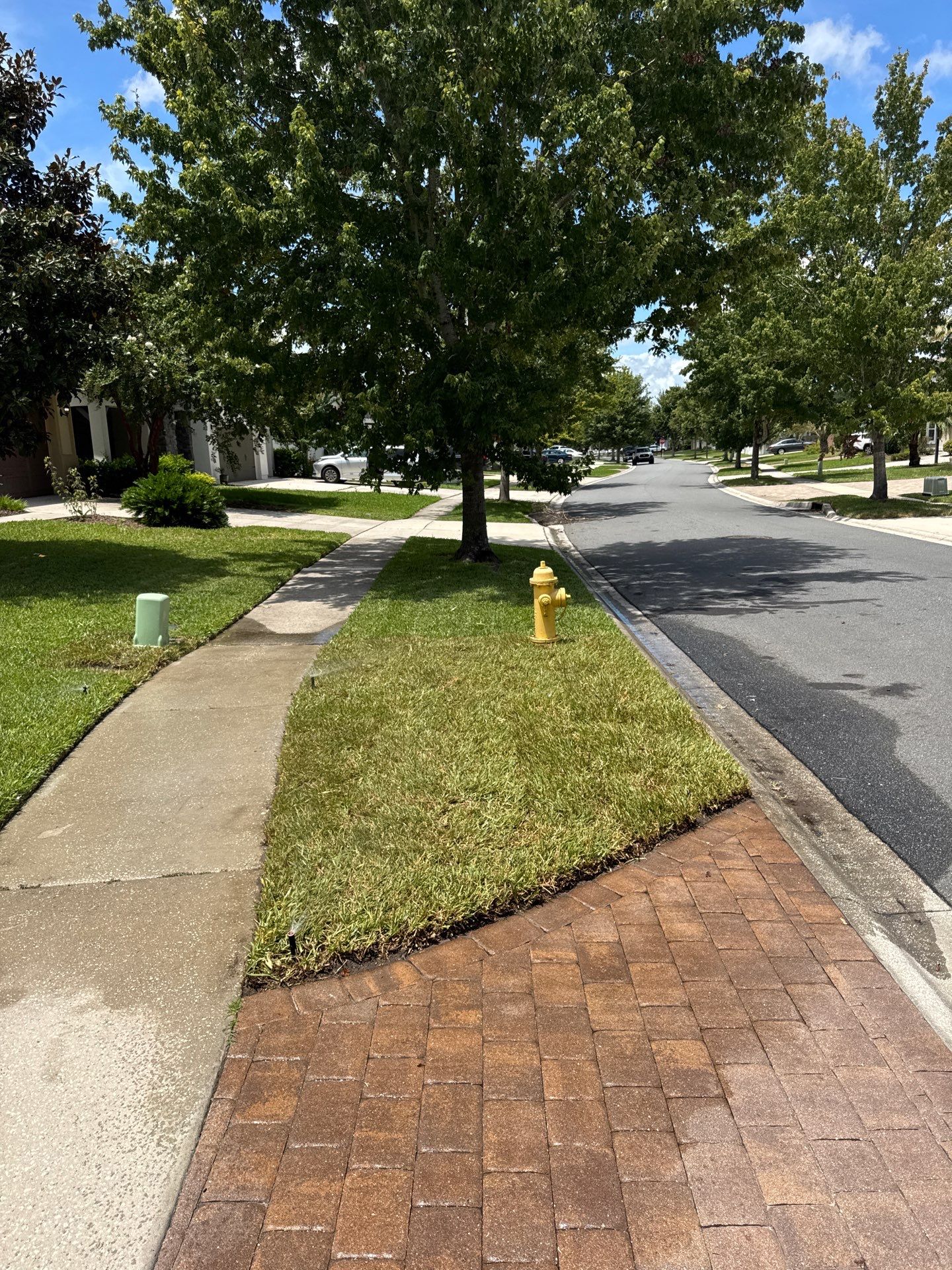 Residential | Sod Installation by ProGreen Services