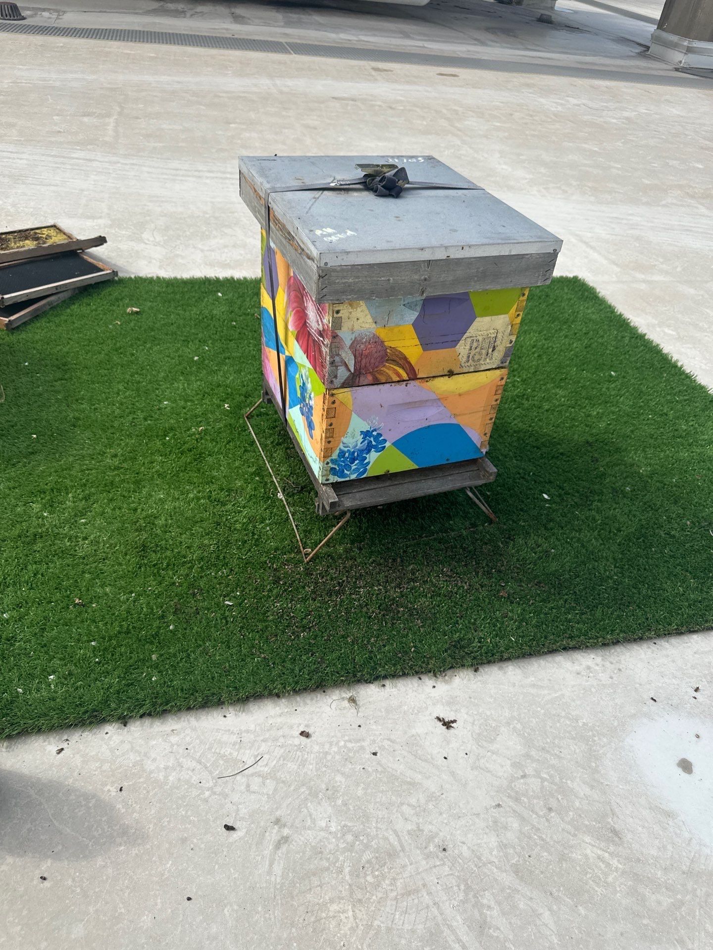 Downtown Dallas by Rockwall Honey Bee Company