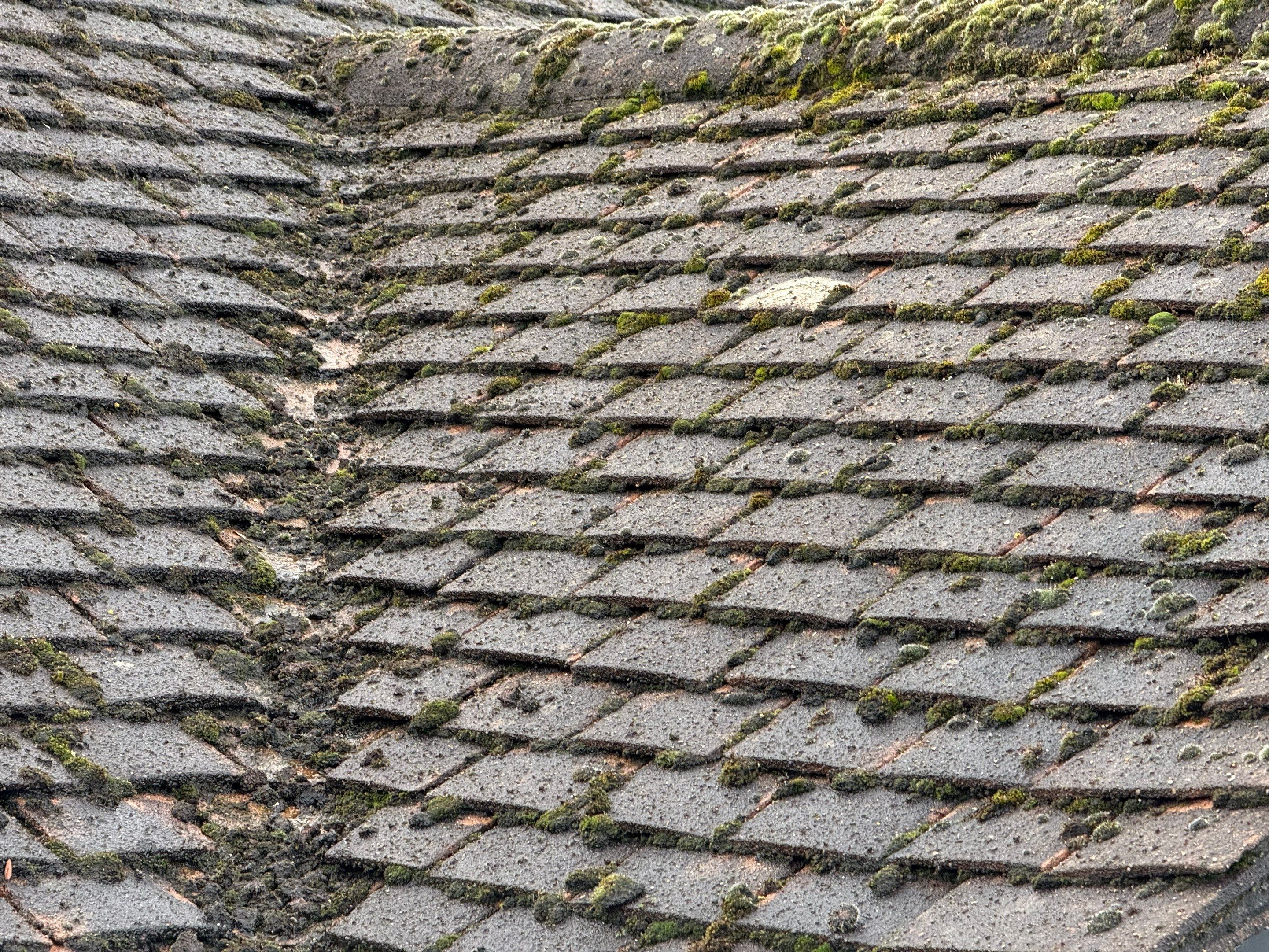Roof Clean Epsom by Ges Exterior Cleaning ltd