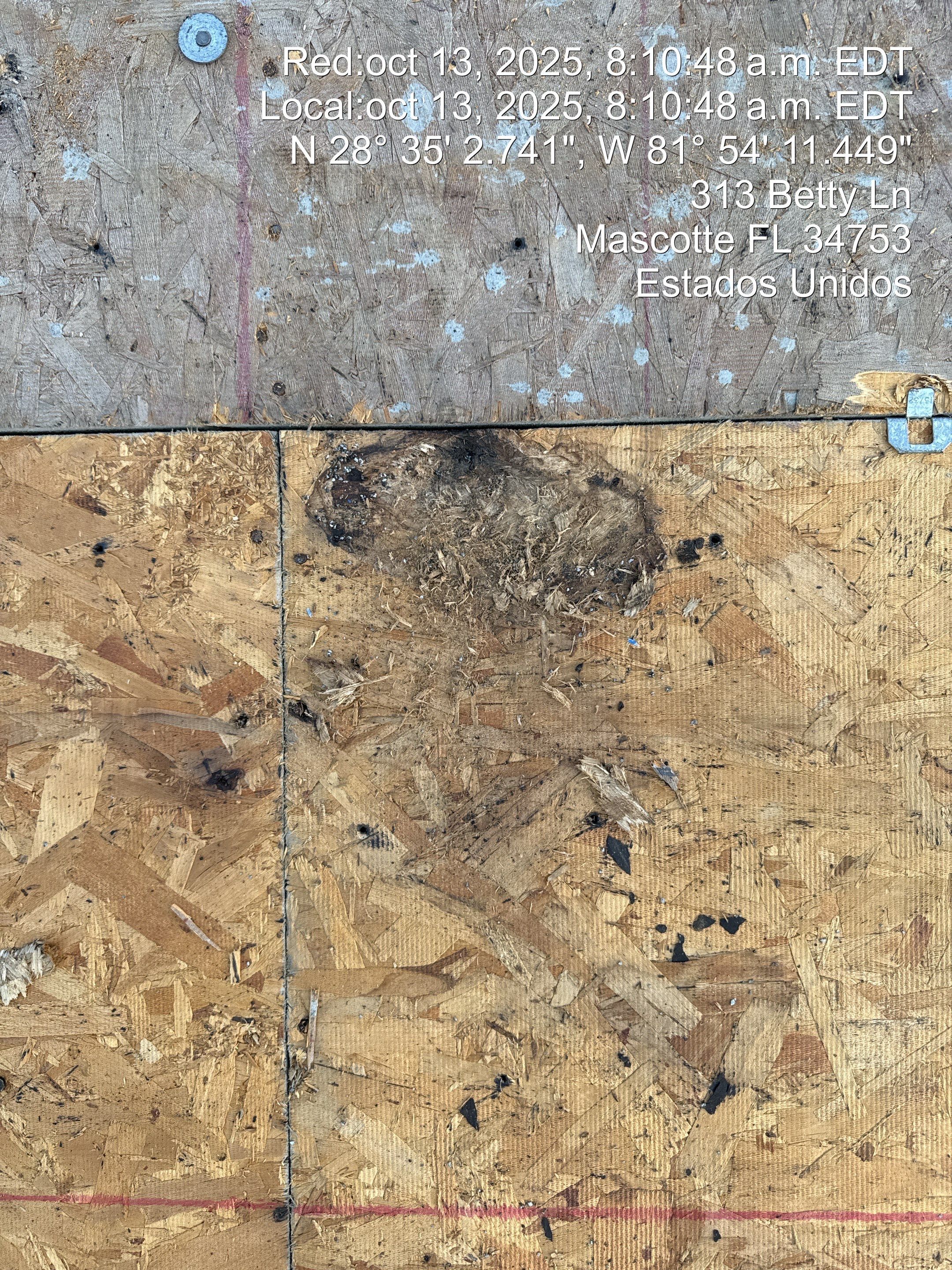 Project in Mascote by You Restorations LLC DBA YOU-Home