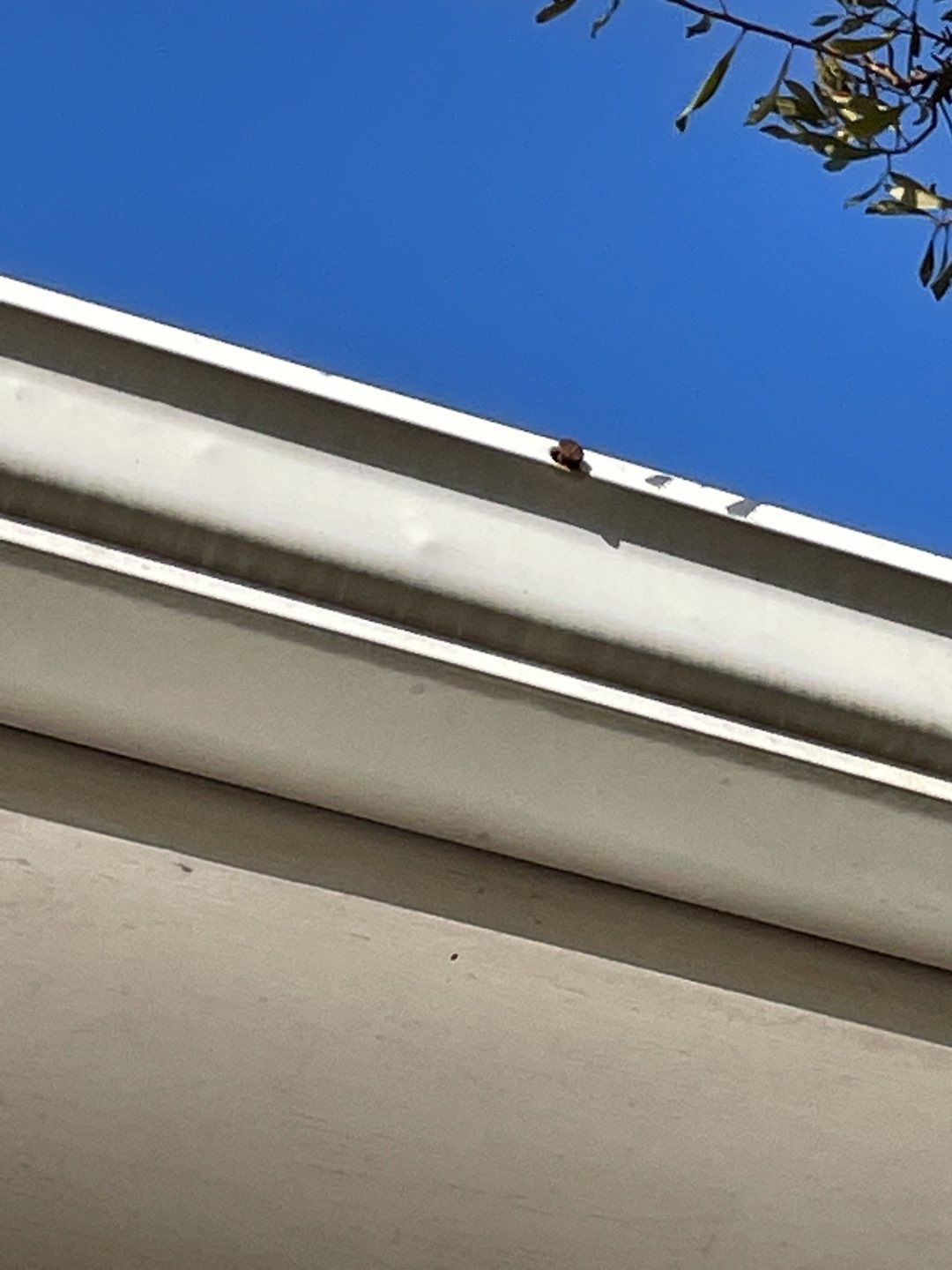 Residential Roofing Installation using Owens Corning by Inspector Roofing and Restoration