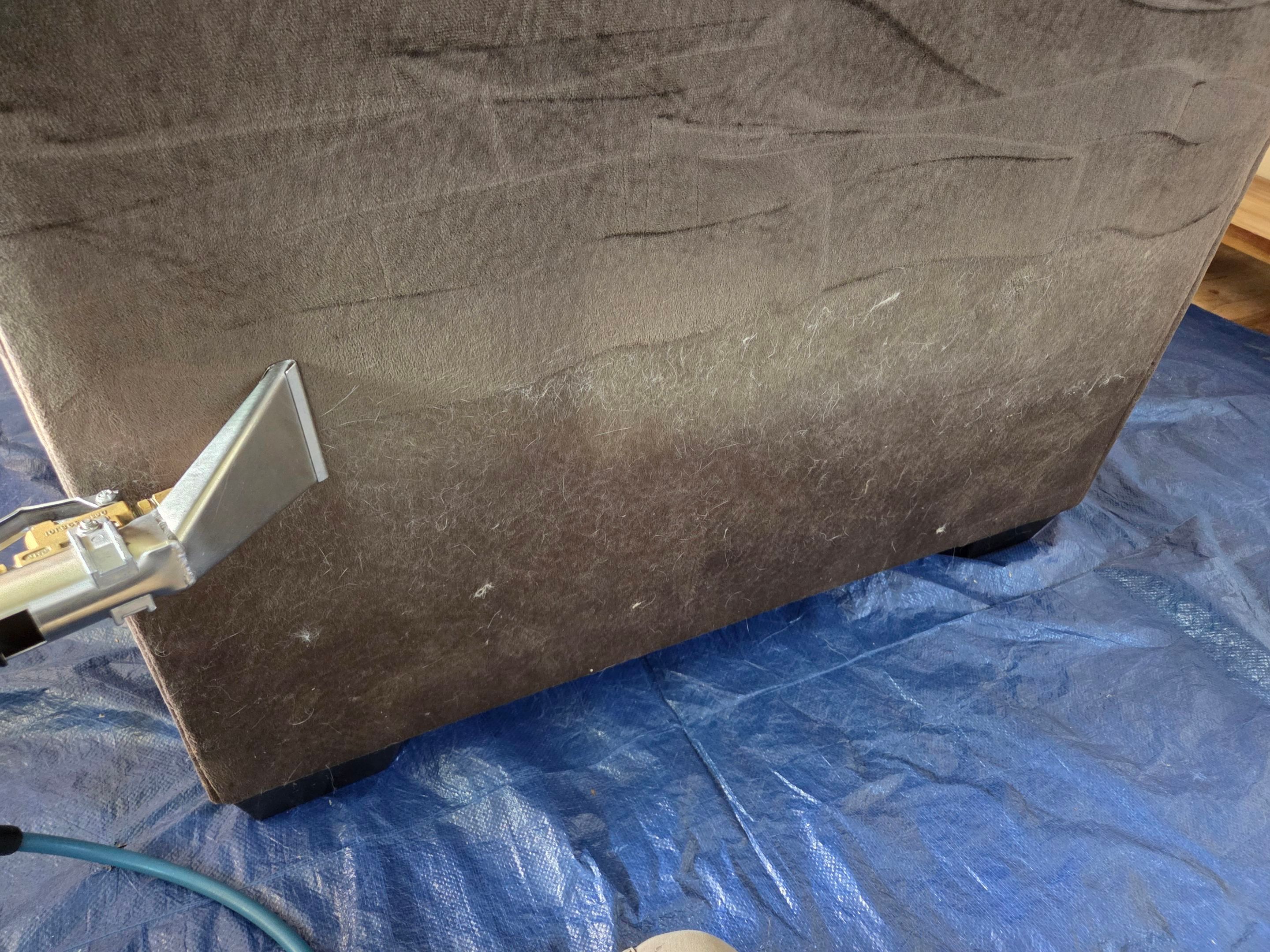 Carpet and Upholstery Cleaning in Sacramento by Ardent Carpet Restore LLC
