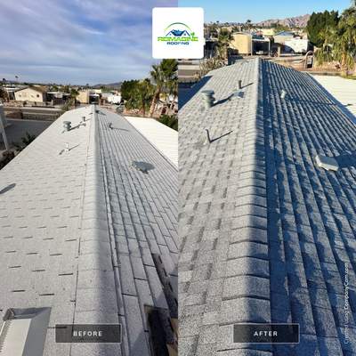 Silver Birch Shingles
