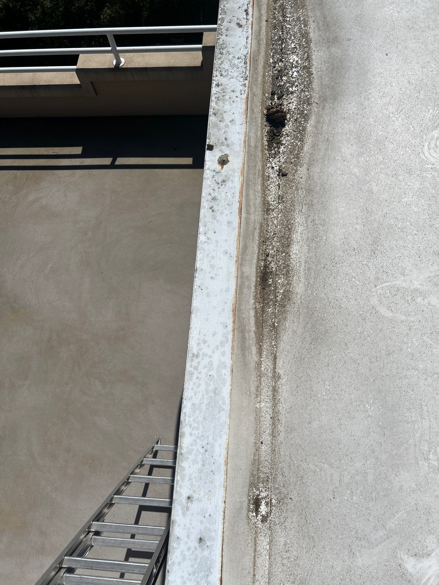 Project in Seattle by Peaks and Valleys Construction