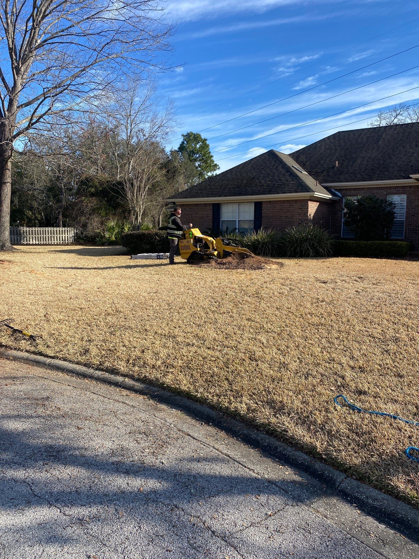 Deerwood Resident | Tree Removal by ProGreen Services
