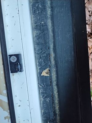 Project by Storm Guard of South Metro Denver