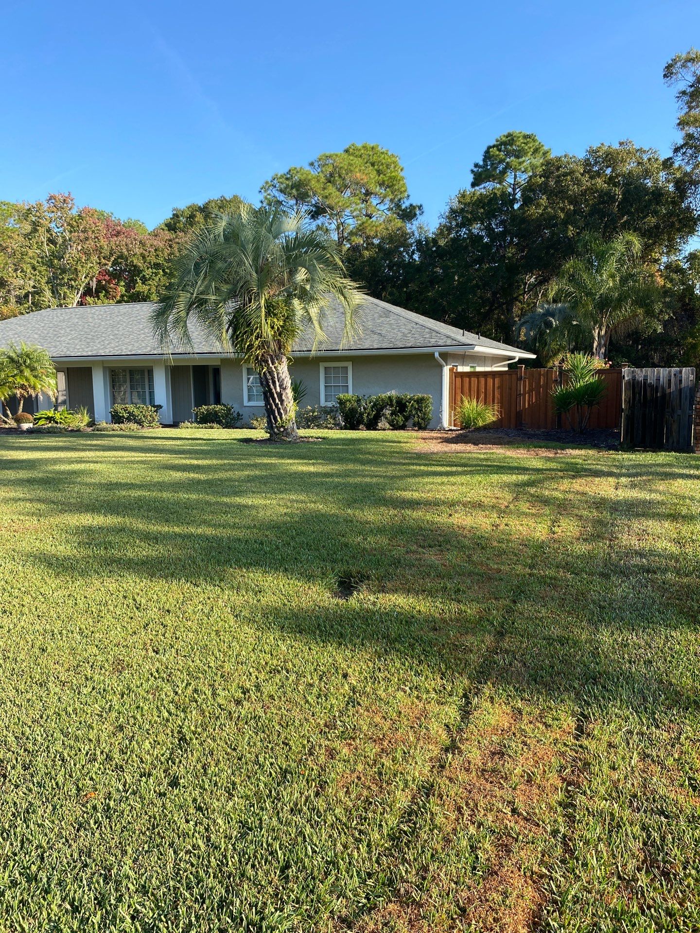 Deerwood Resident | Winter Sod Replacement by ProGreen Services