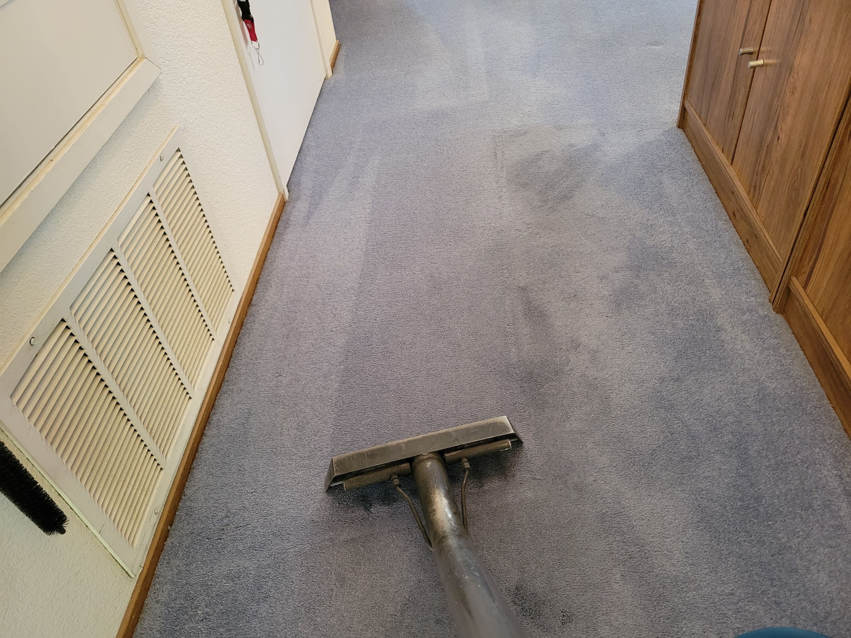 Condo Carpet Cleaning by Ardent Carpet Restore LLC