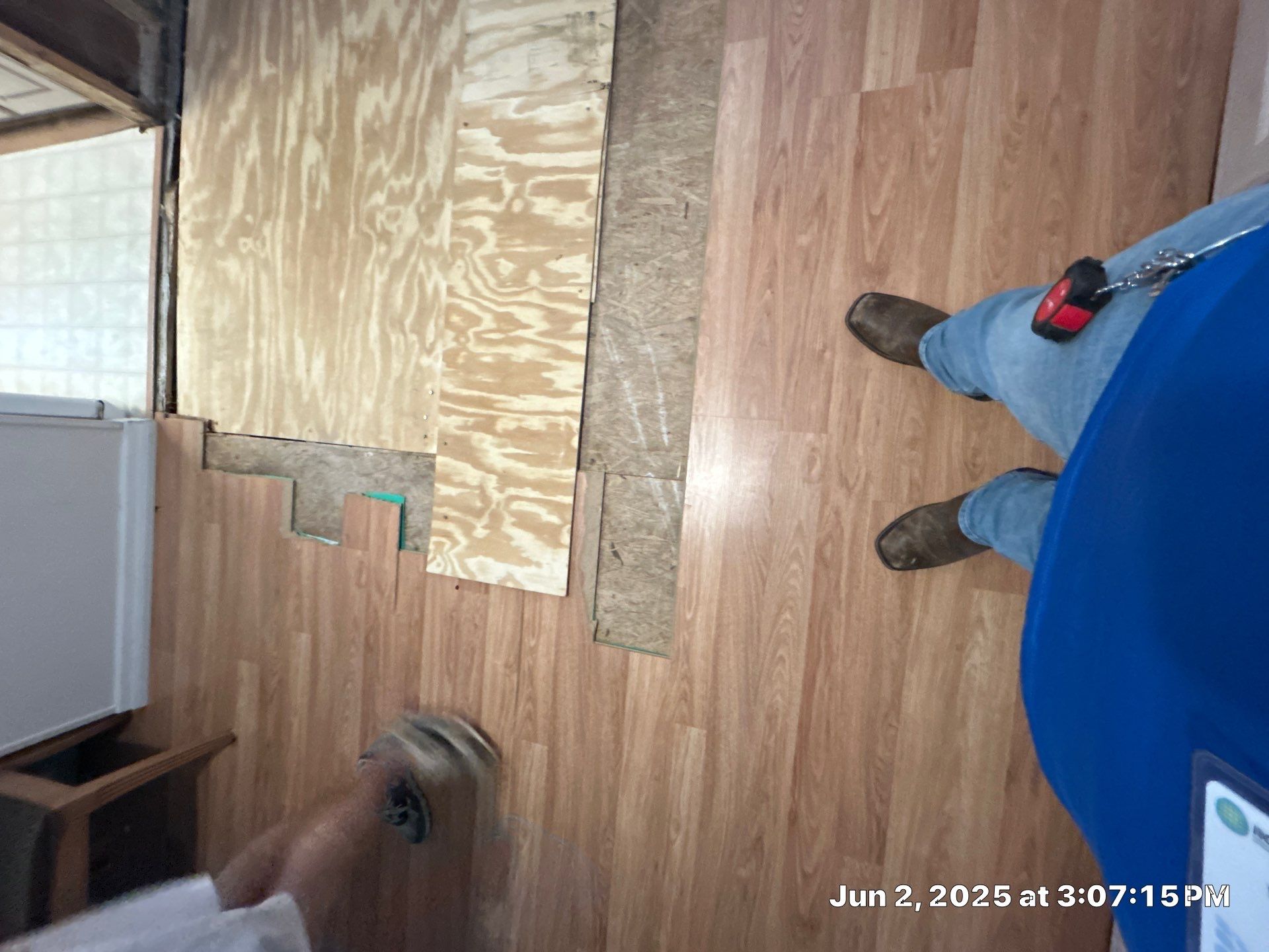 Mold Remediation Palmetto by Ampm Restoration Services 