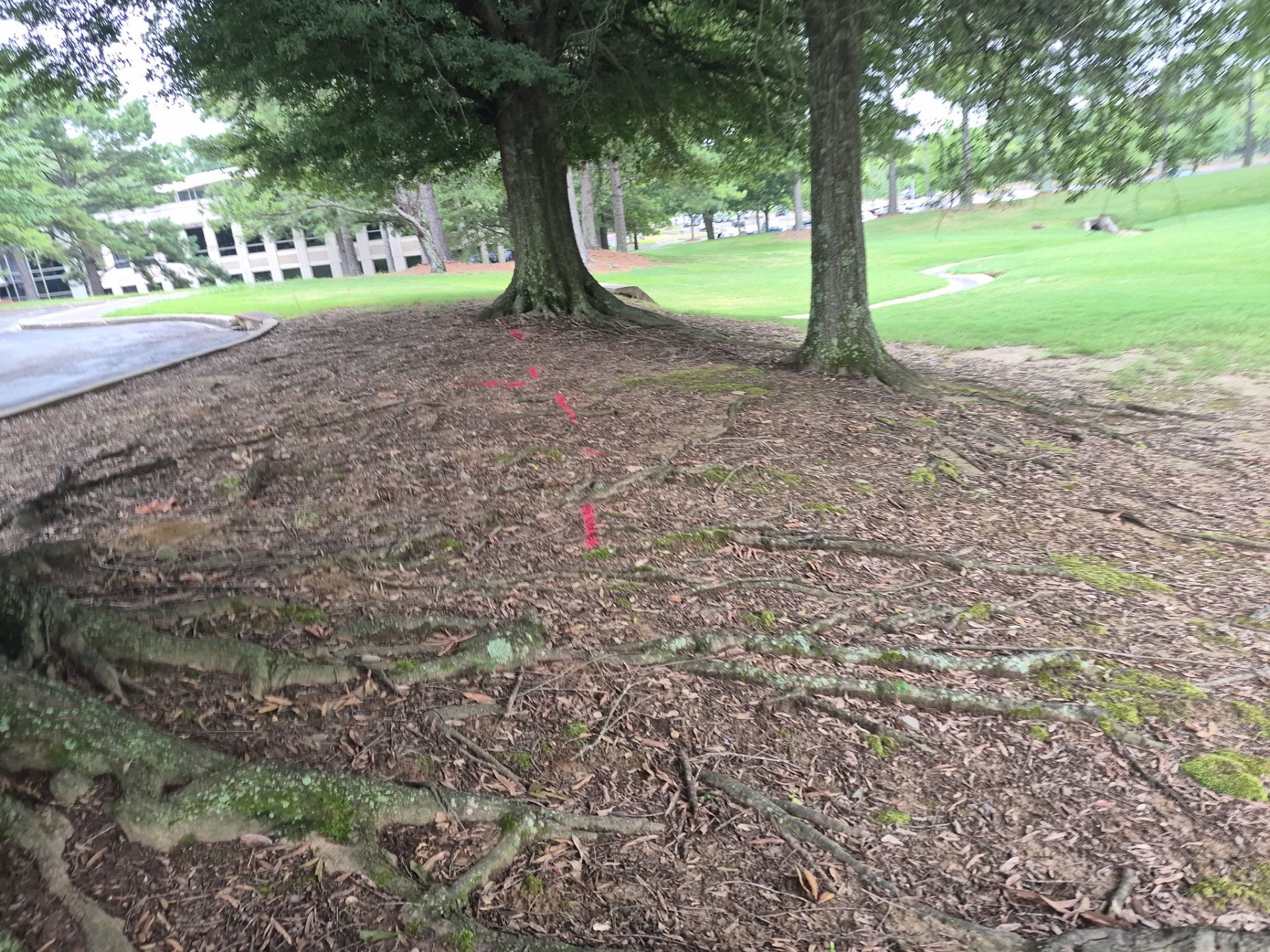 Private Utility Locating and Marking for Collierville Commercial Campus by Alsip Locating Service, LLC