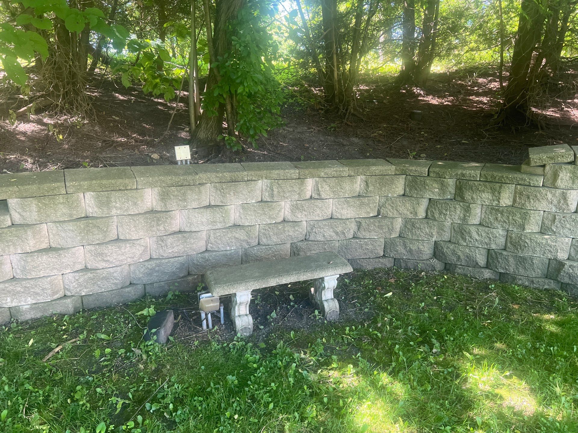 concrete cleaning using Algaecide, soft wash soap by Northern Power Washing LLC.