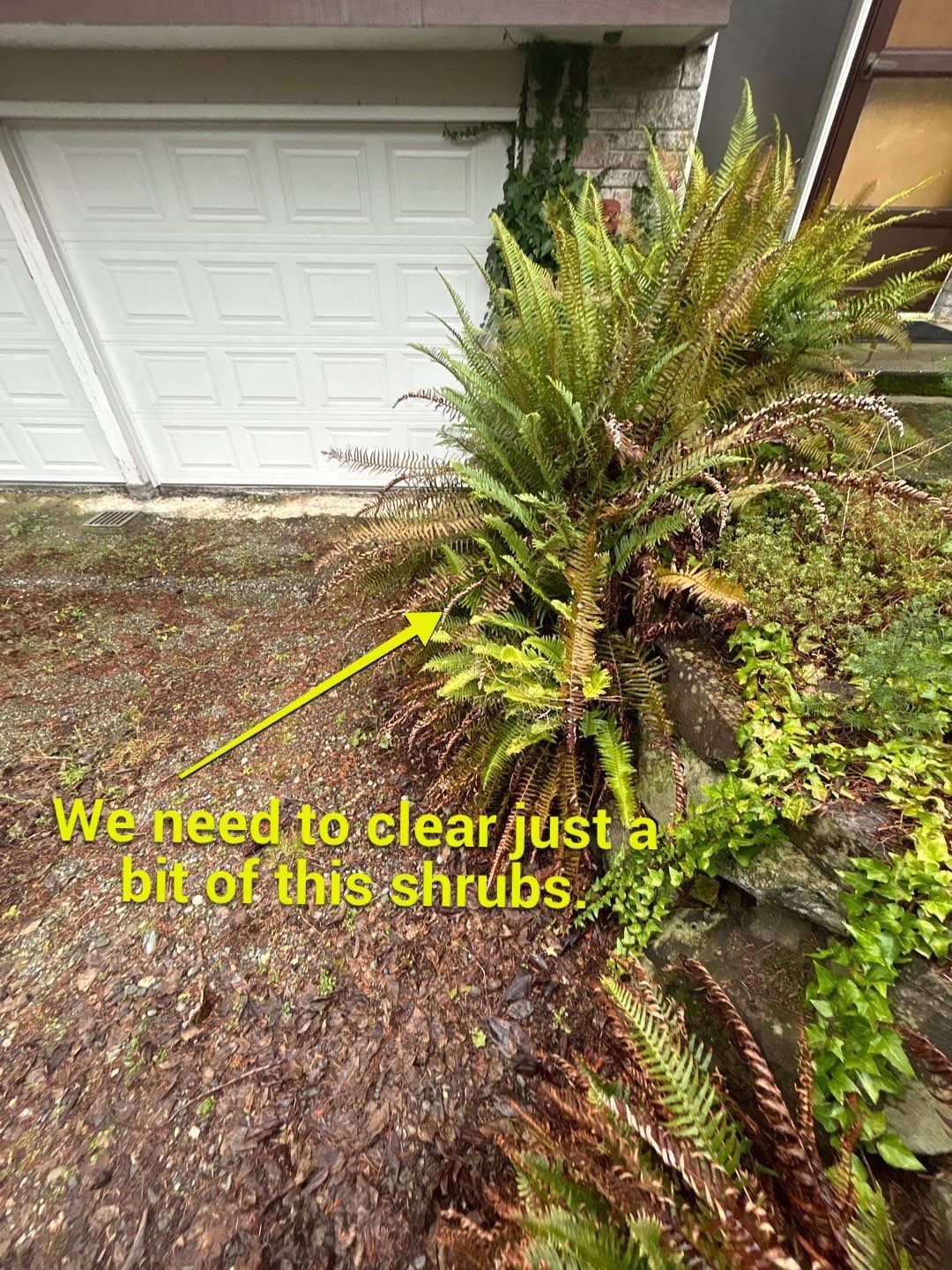 Fadi | Asphalt Driveway by Jireh Asphalt & Concrete Inc 