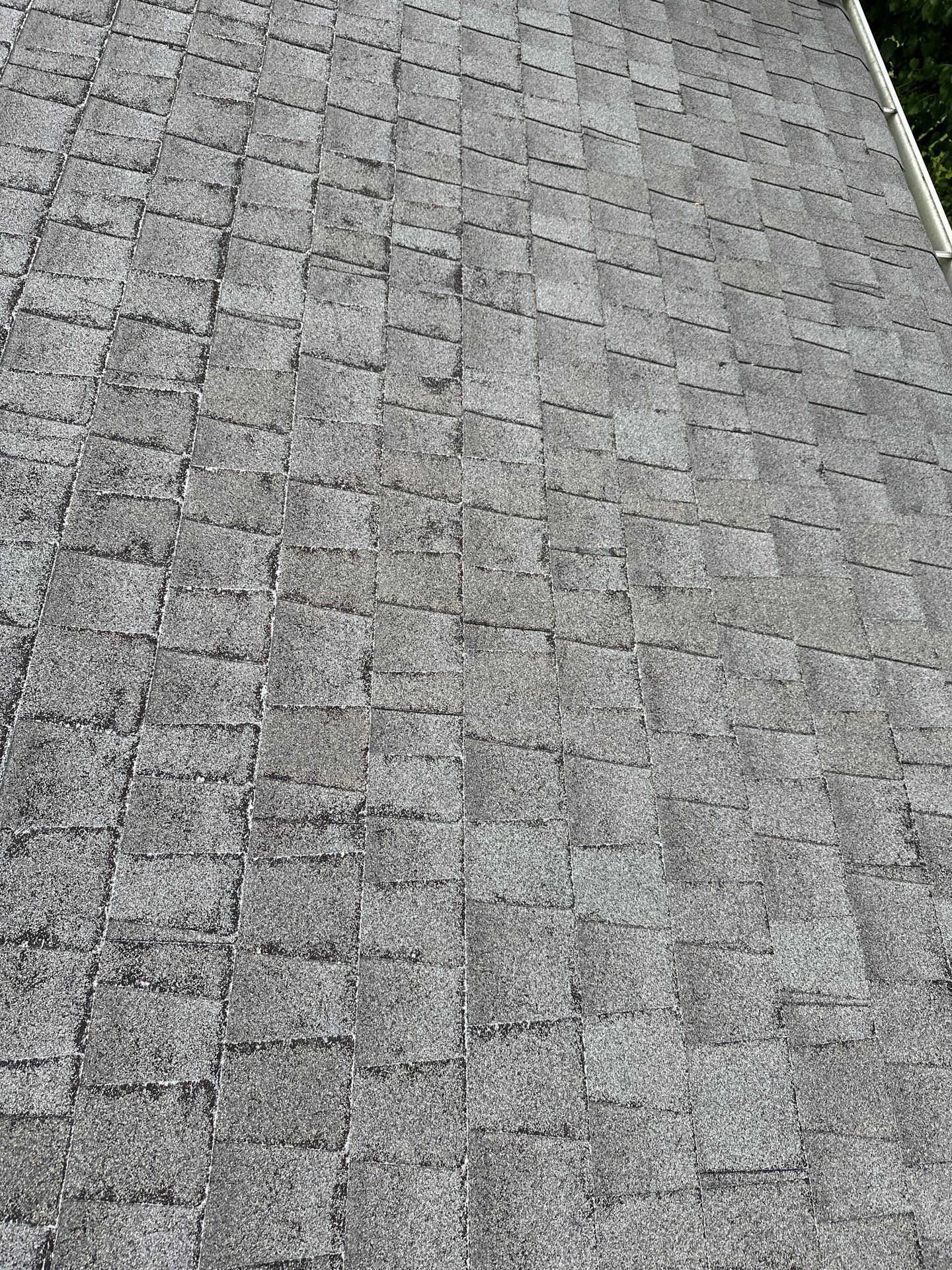 The Plumbs by United Contracting and Roofing