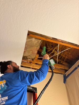 Mold Damage Removal