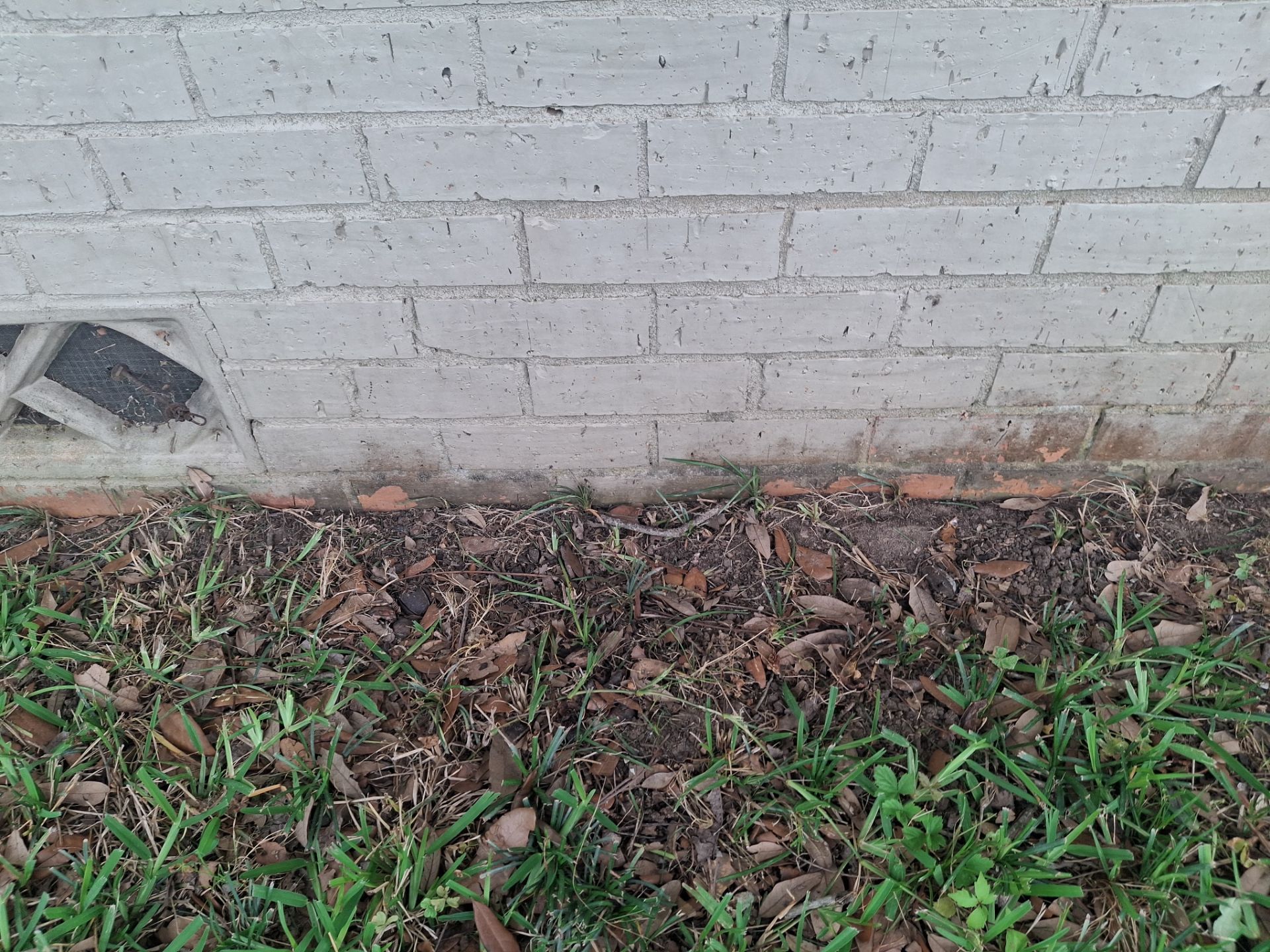From Forgettable to Modern: An Exterior Brick Paint Job in Tyler TX by Quality Coats Painting