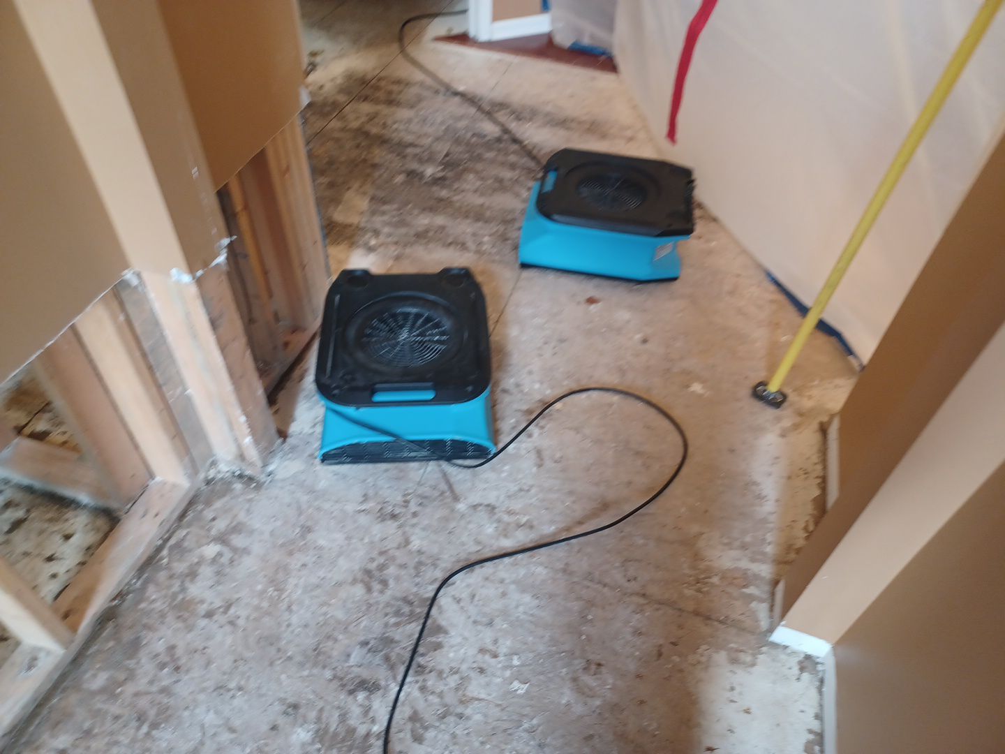 Project in Sterling Heights by EzDry Water Mitigation & Property Restoration