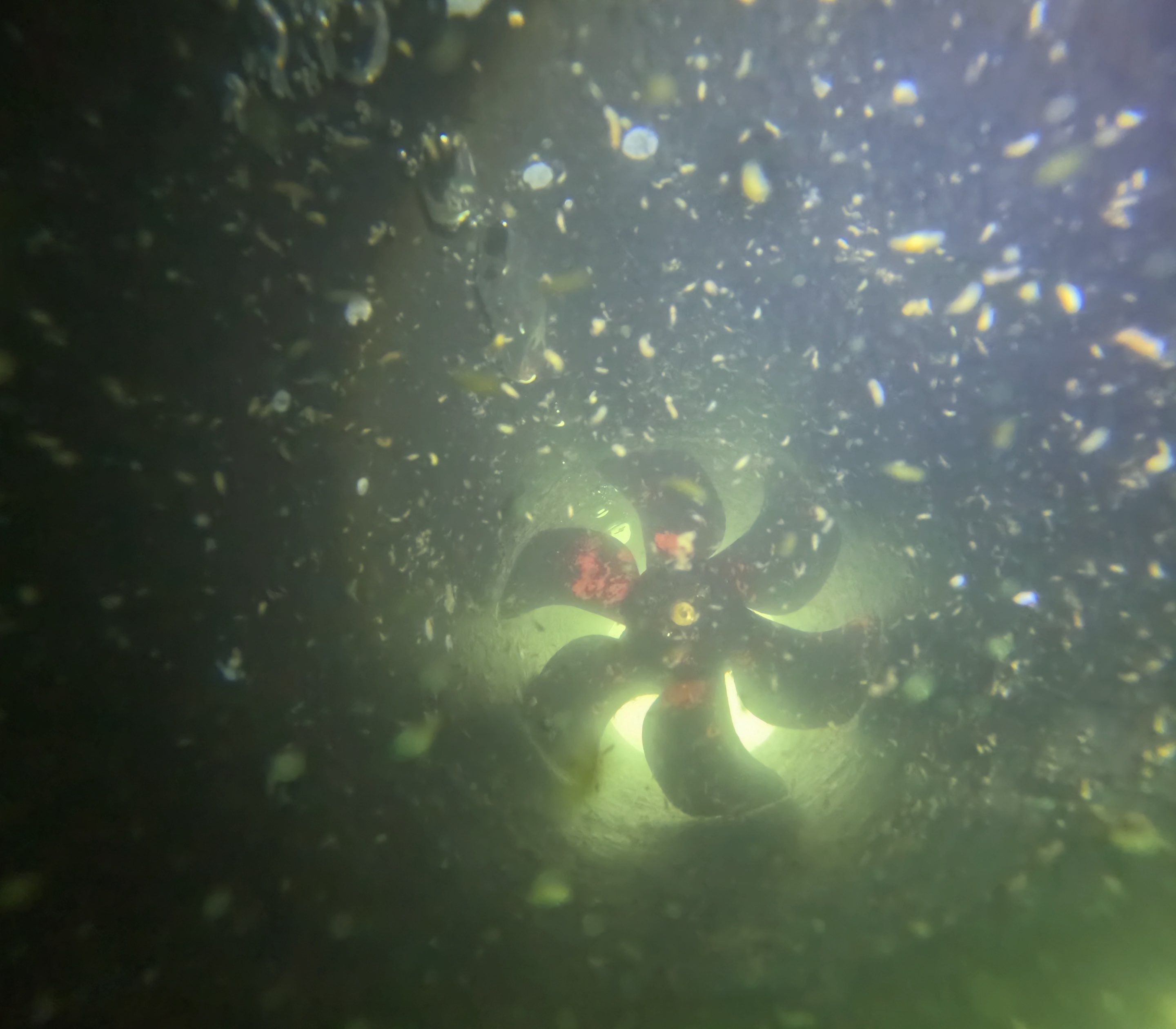 Project in Marco island, FL by Florida Hull Cleaning 