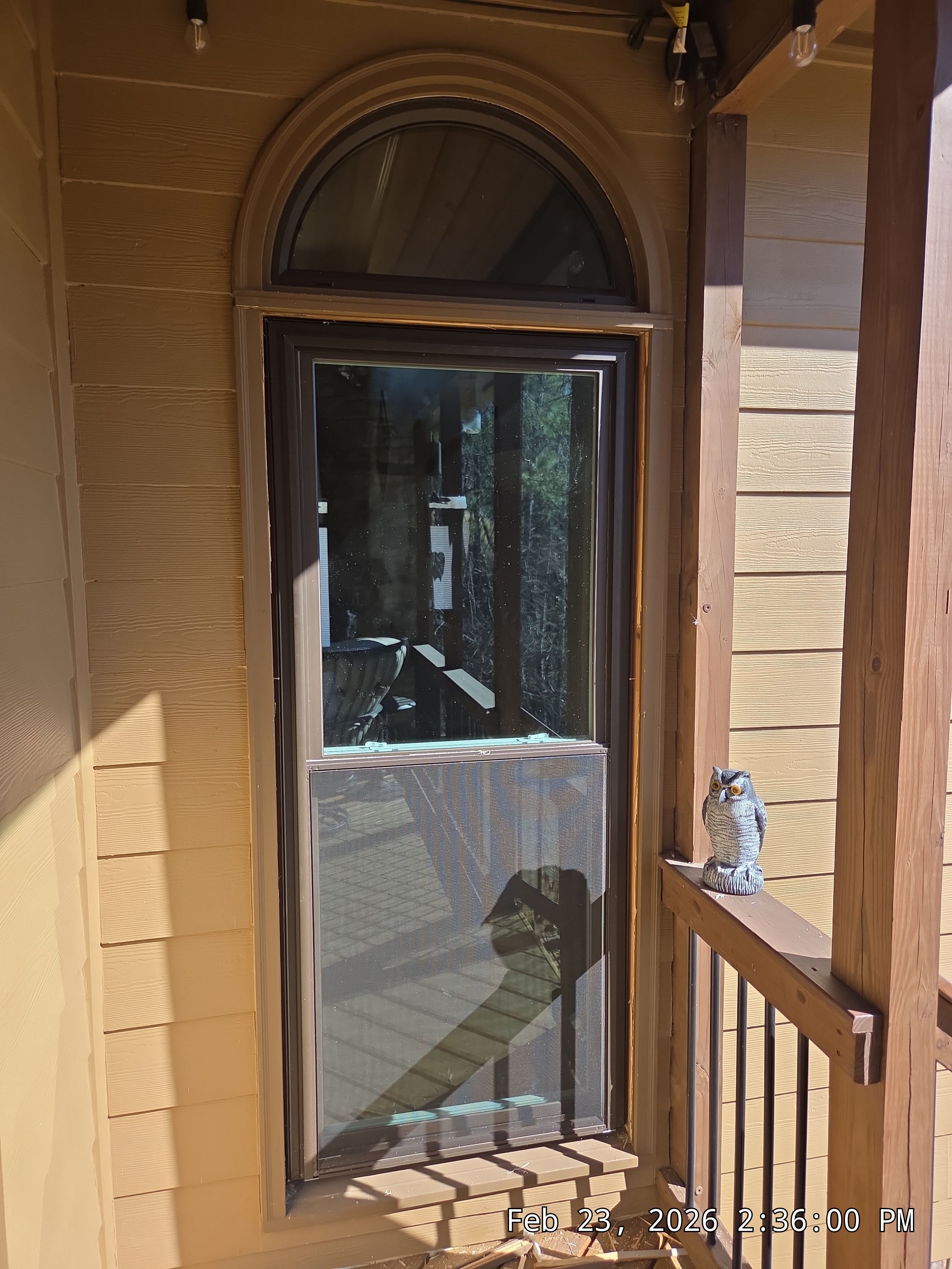 Davis Project in Helena by The Window Source