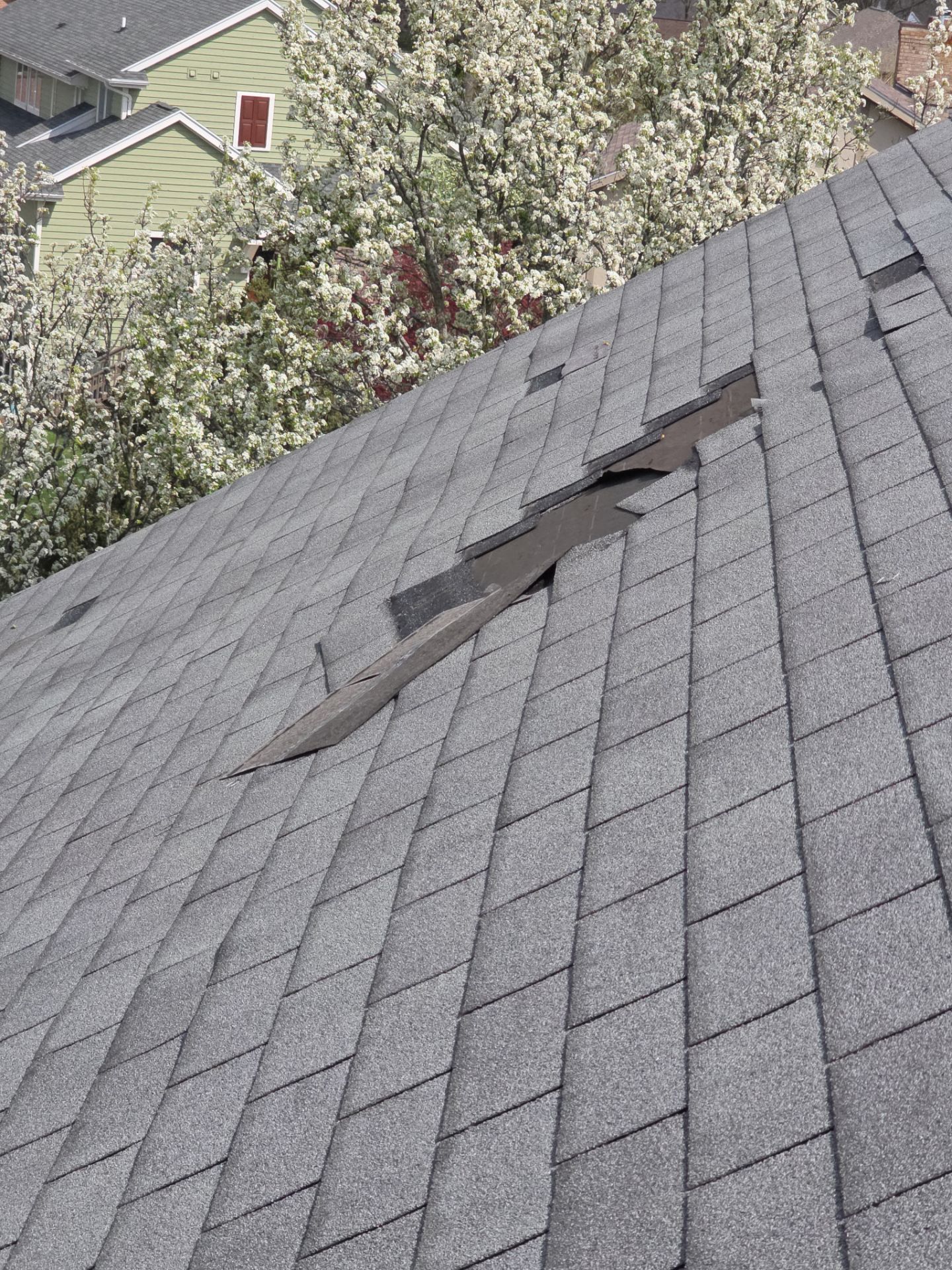 BIG Roof completed! by 42 North Construction, LLC.
