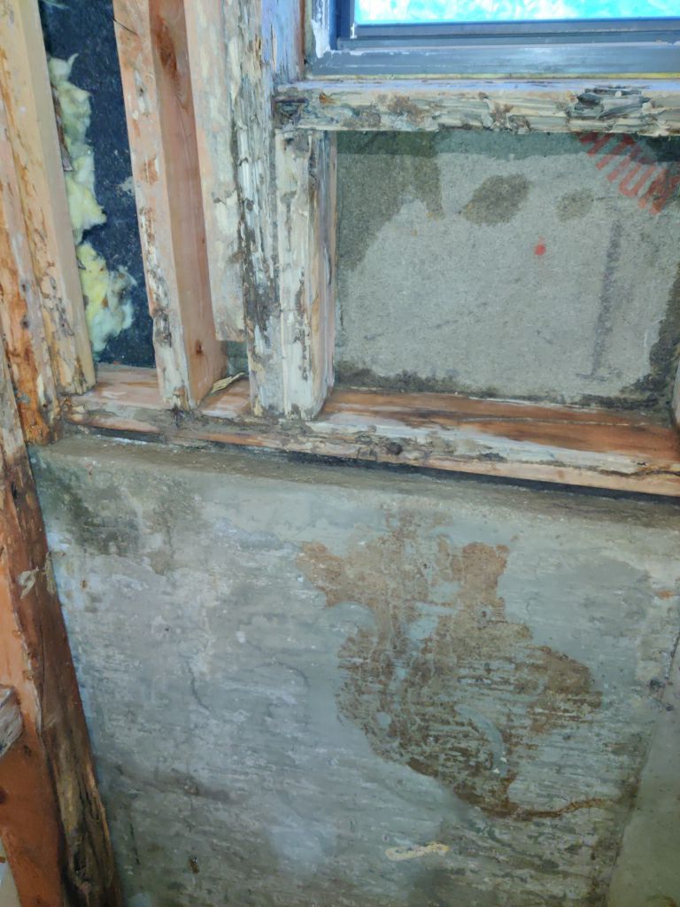 Mold Remediation in Bathroom by Accountable Home Services