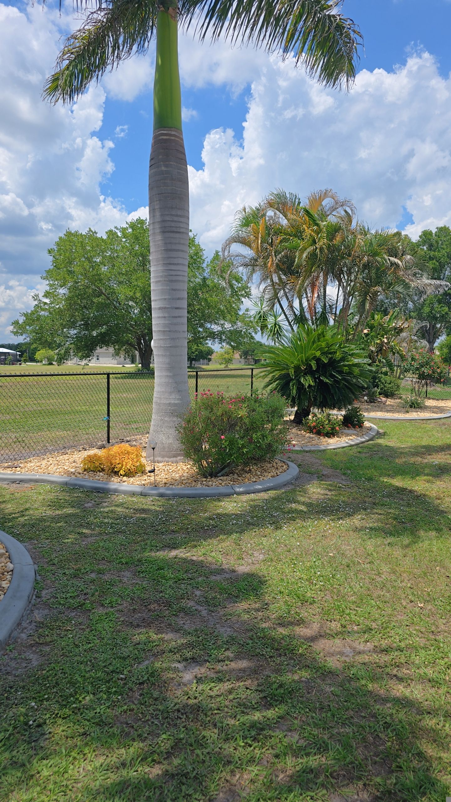 Chain Link Fence in Punta Gorda by True Fence LLC