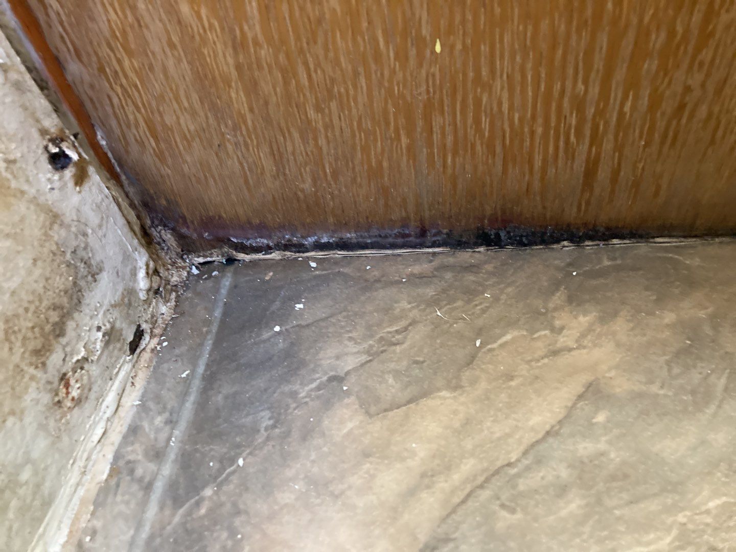 Water Damage in Bathroom by Accountable Home Services